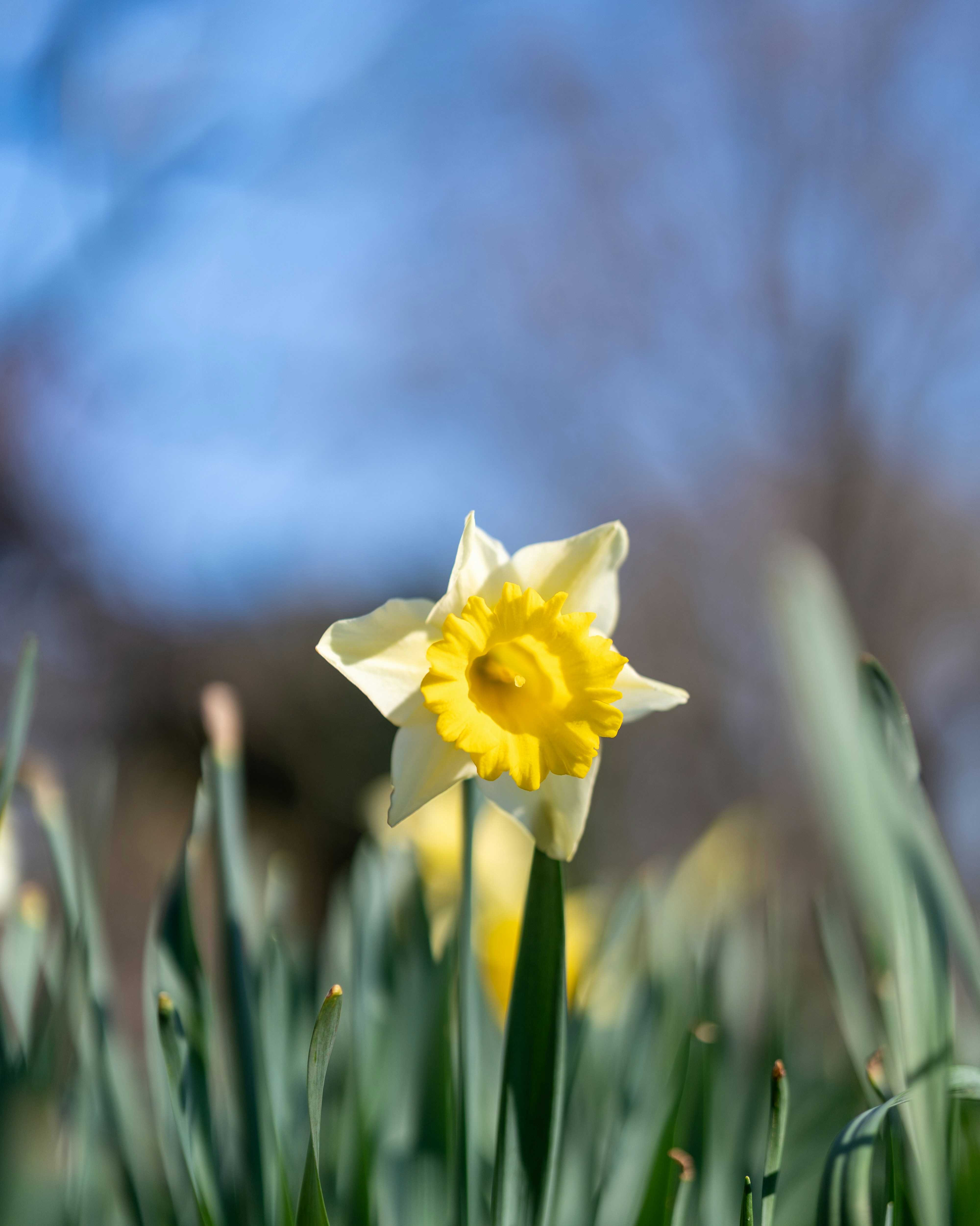 Photo by bangscreative