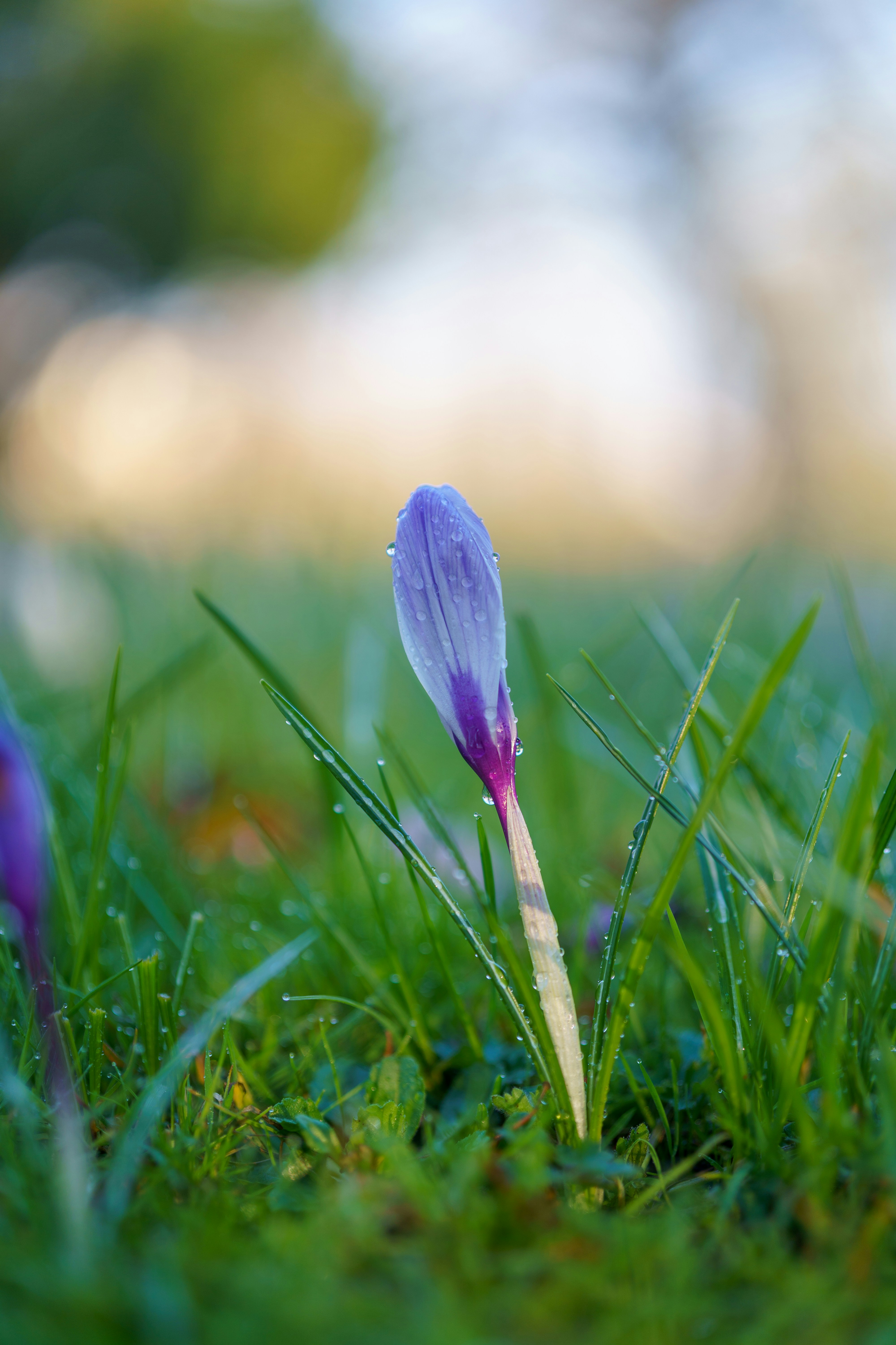 Photo by bangscreative