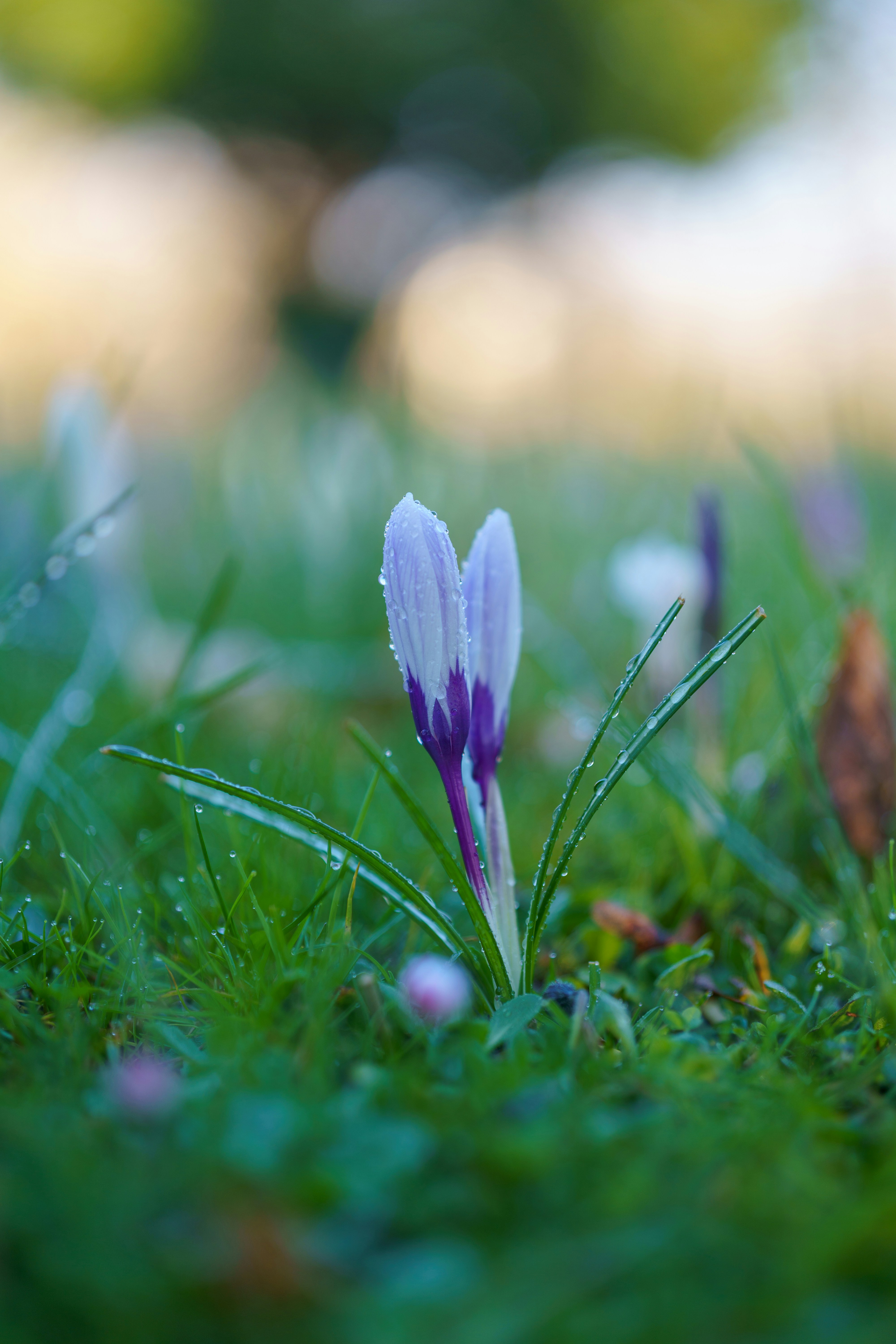 Photo by bangscreative