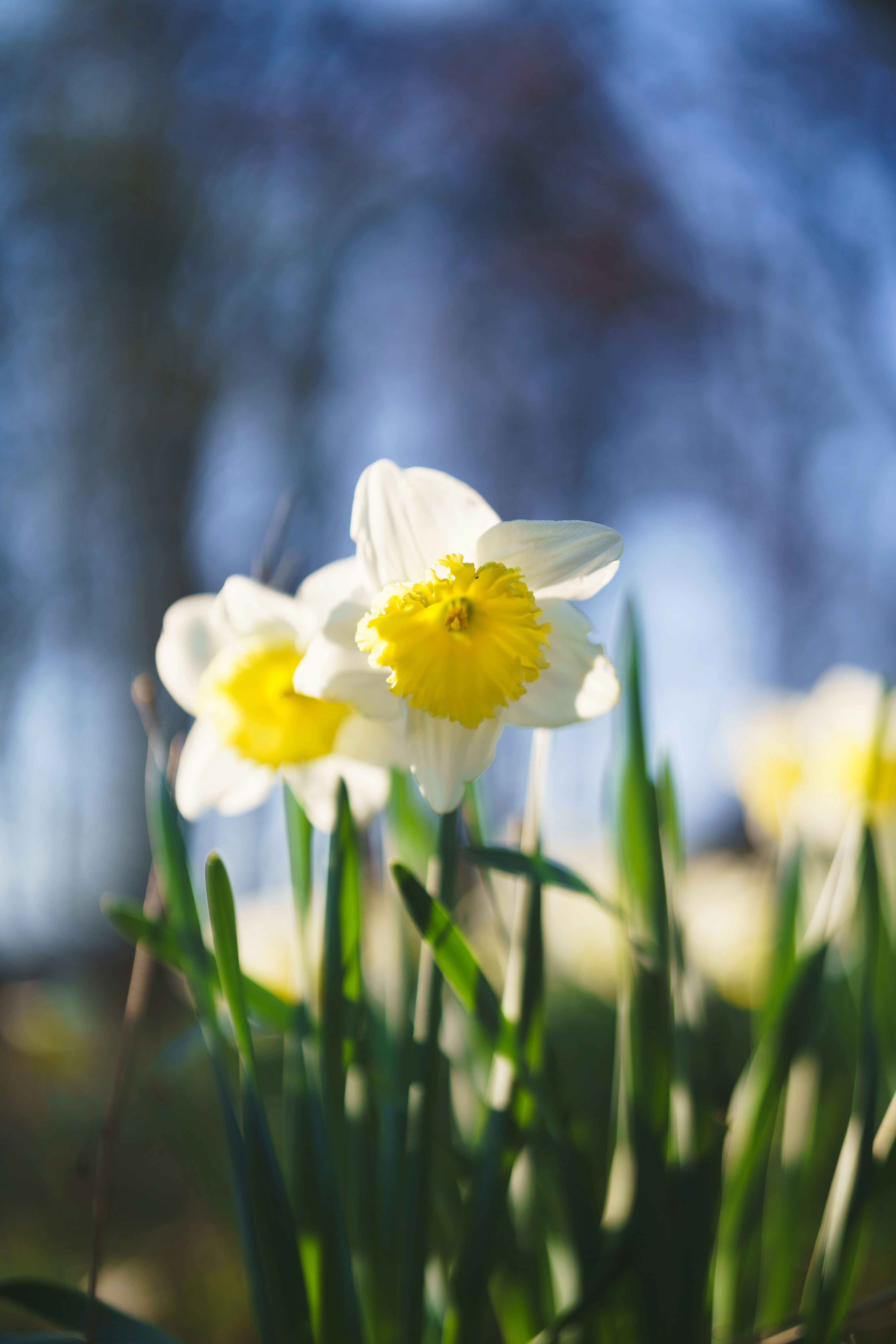 Photo by bangscreative