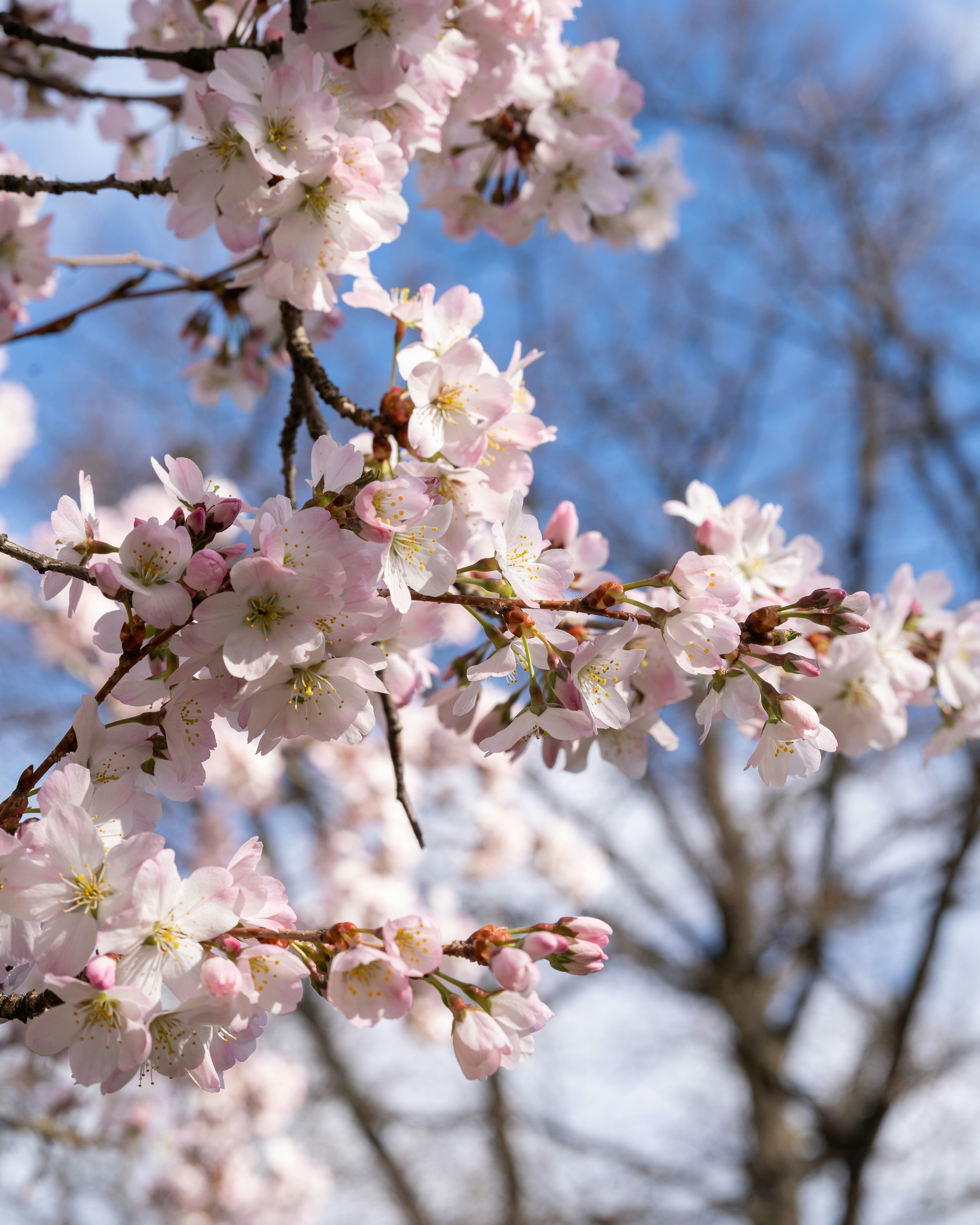 Photo by bangscreative