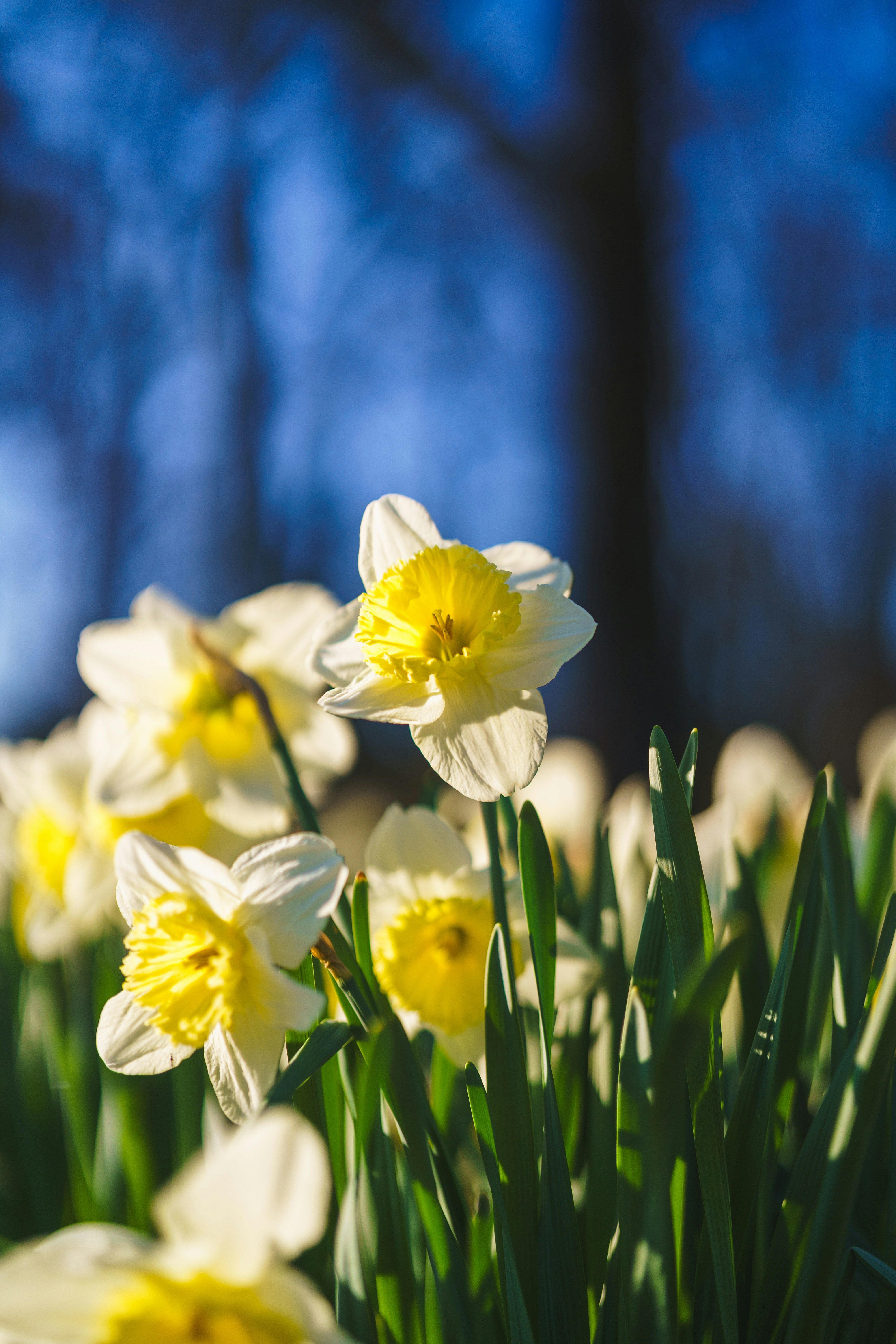 Photo by bangscreative