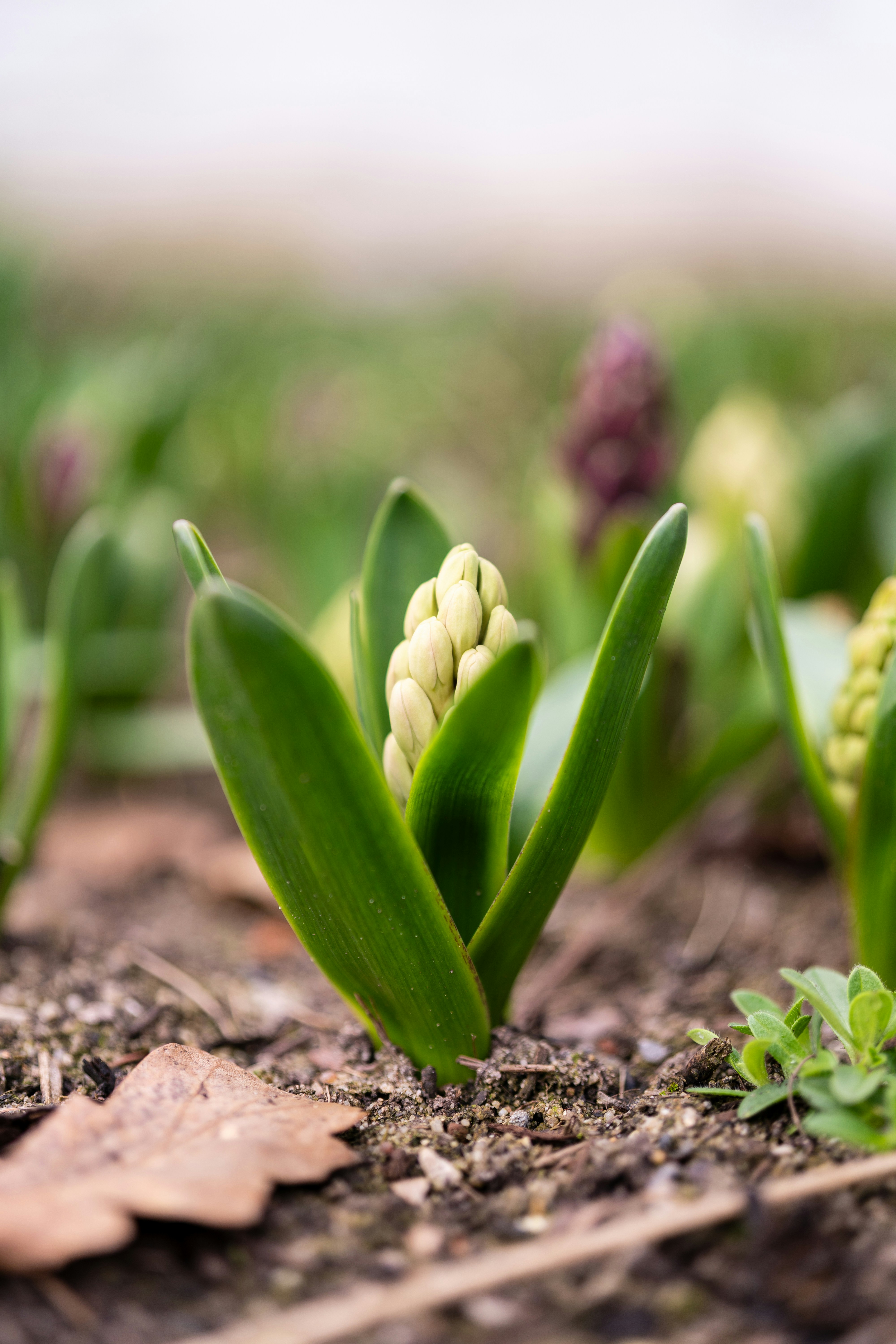 Photo by bangscreative