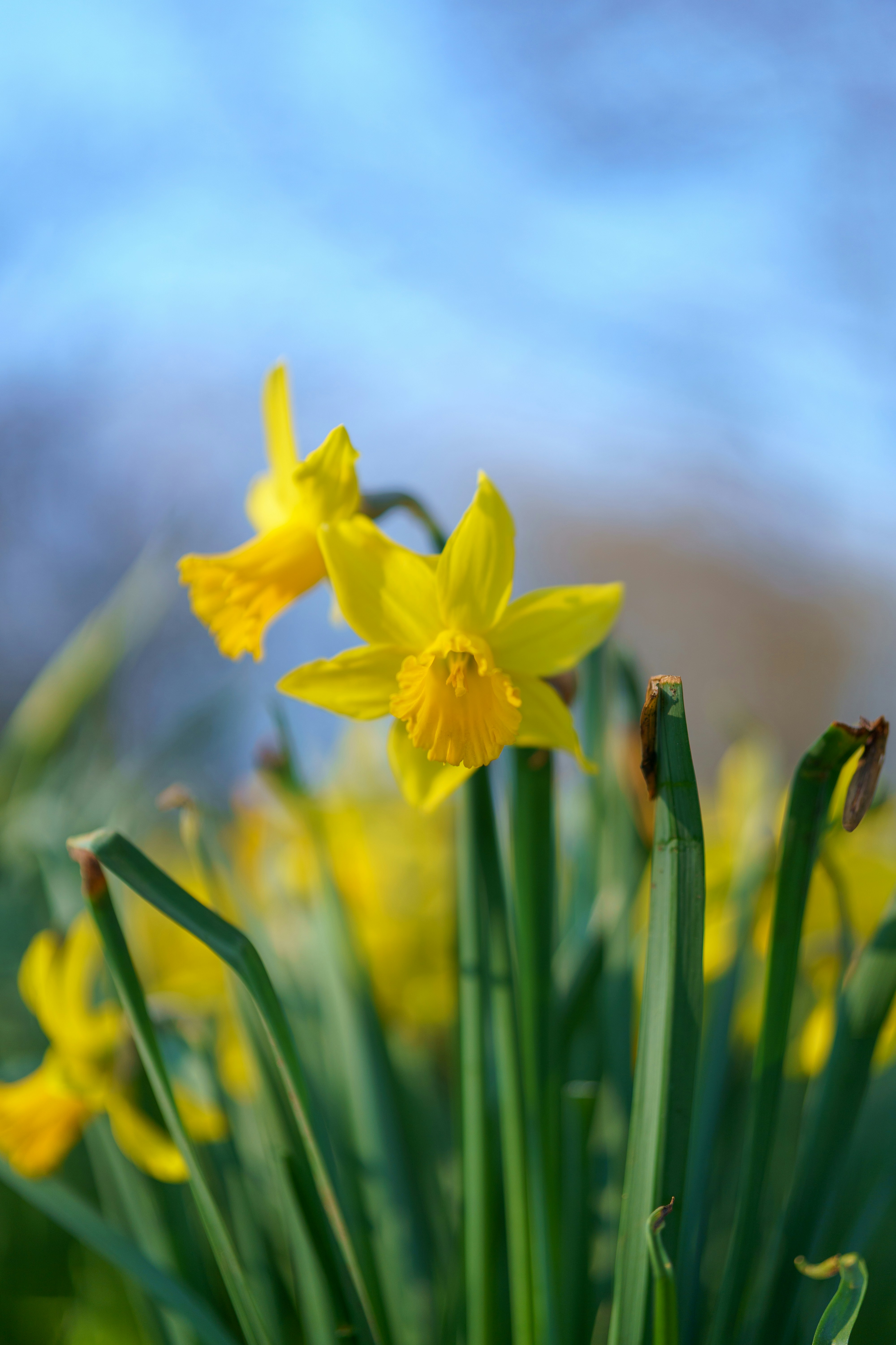 Photo by bangscreative