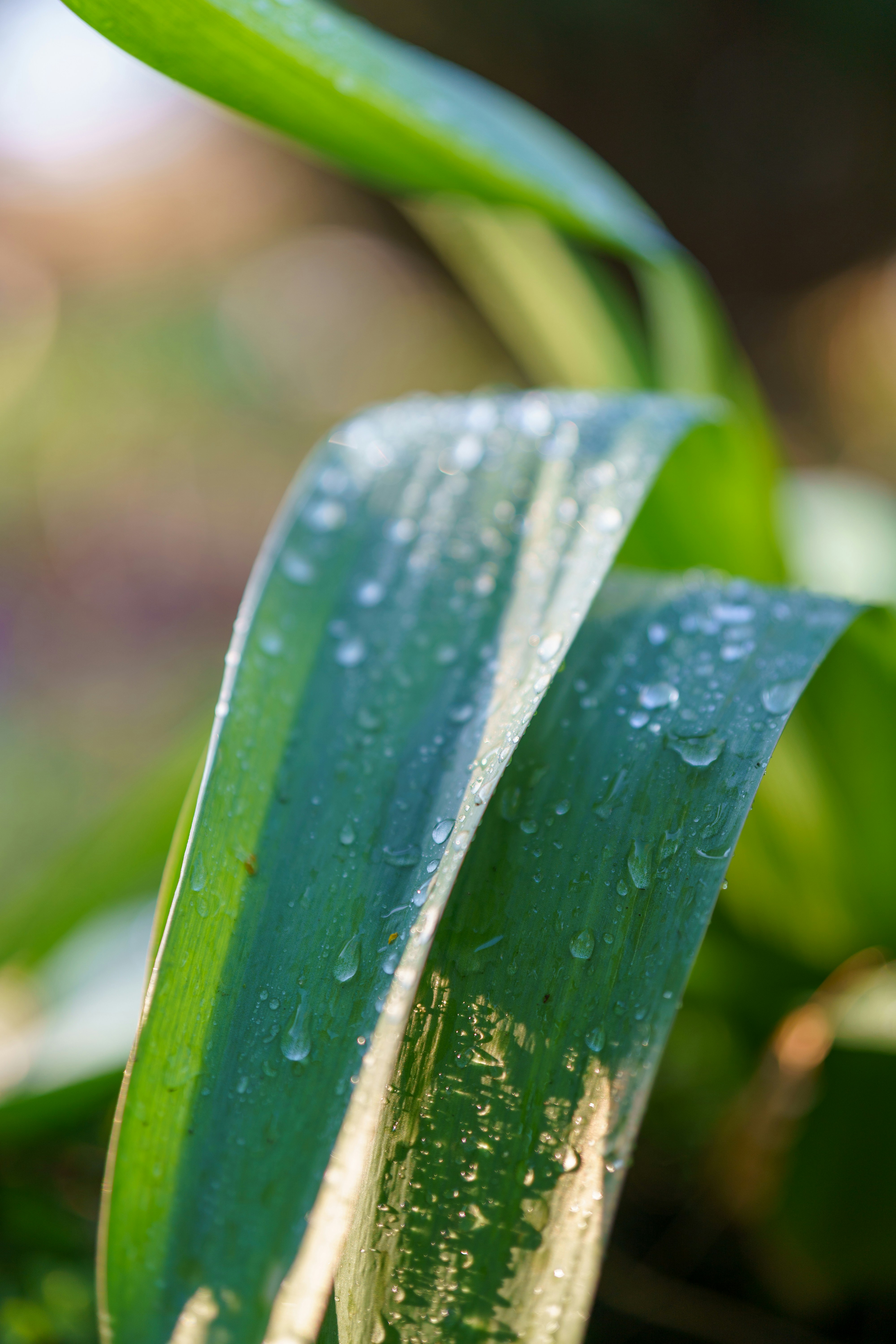 Photo by bangscreative