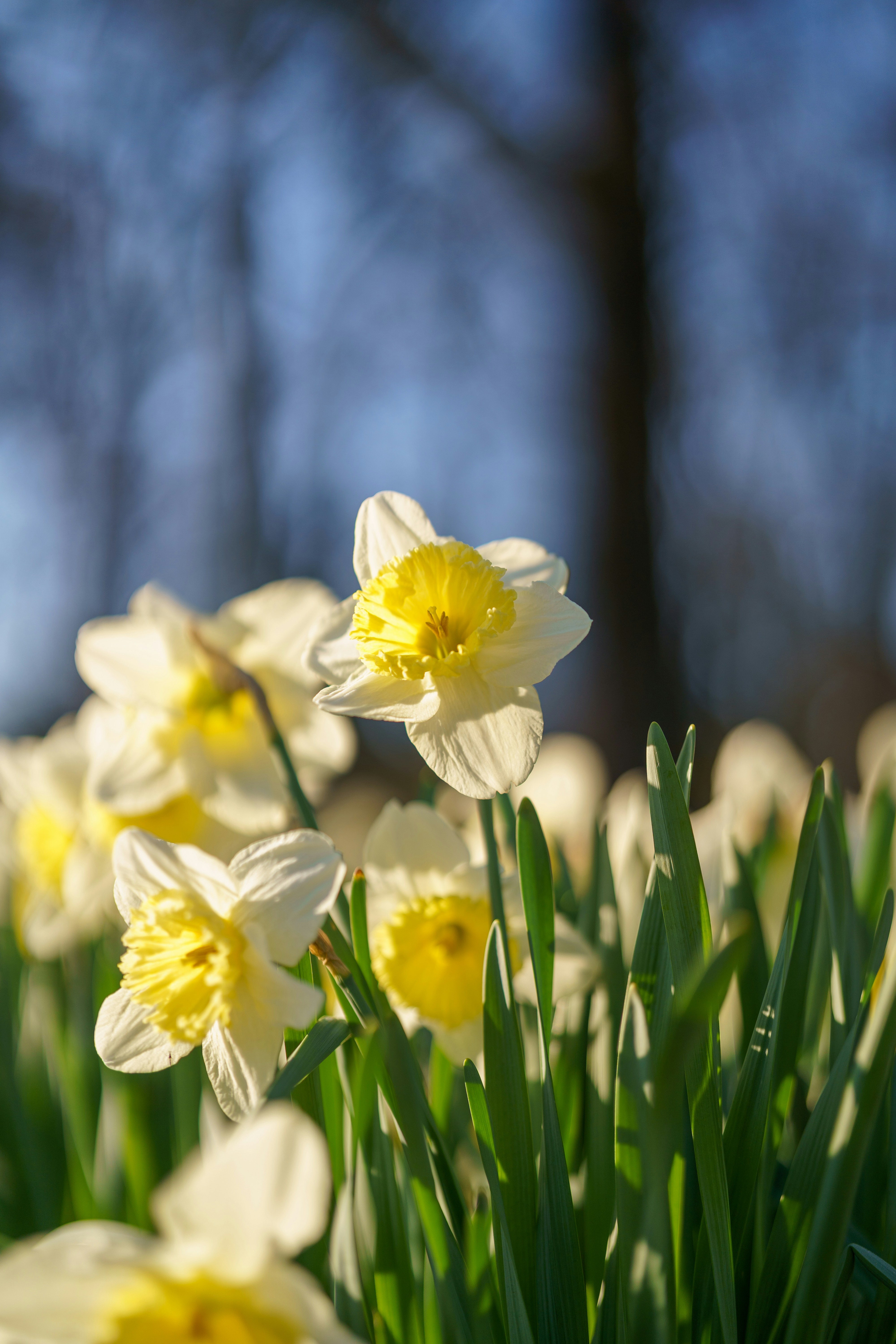 Photo by bangscreative