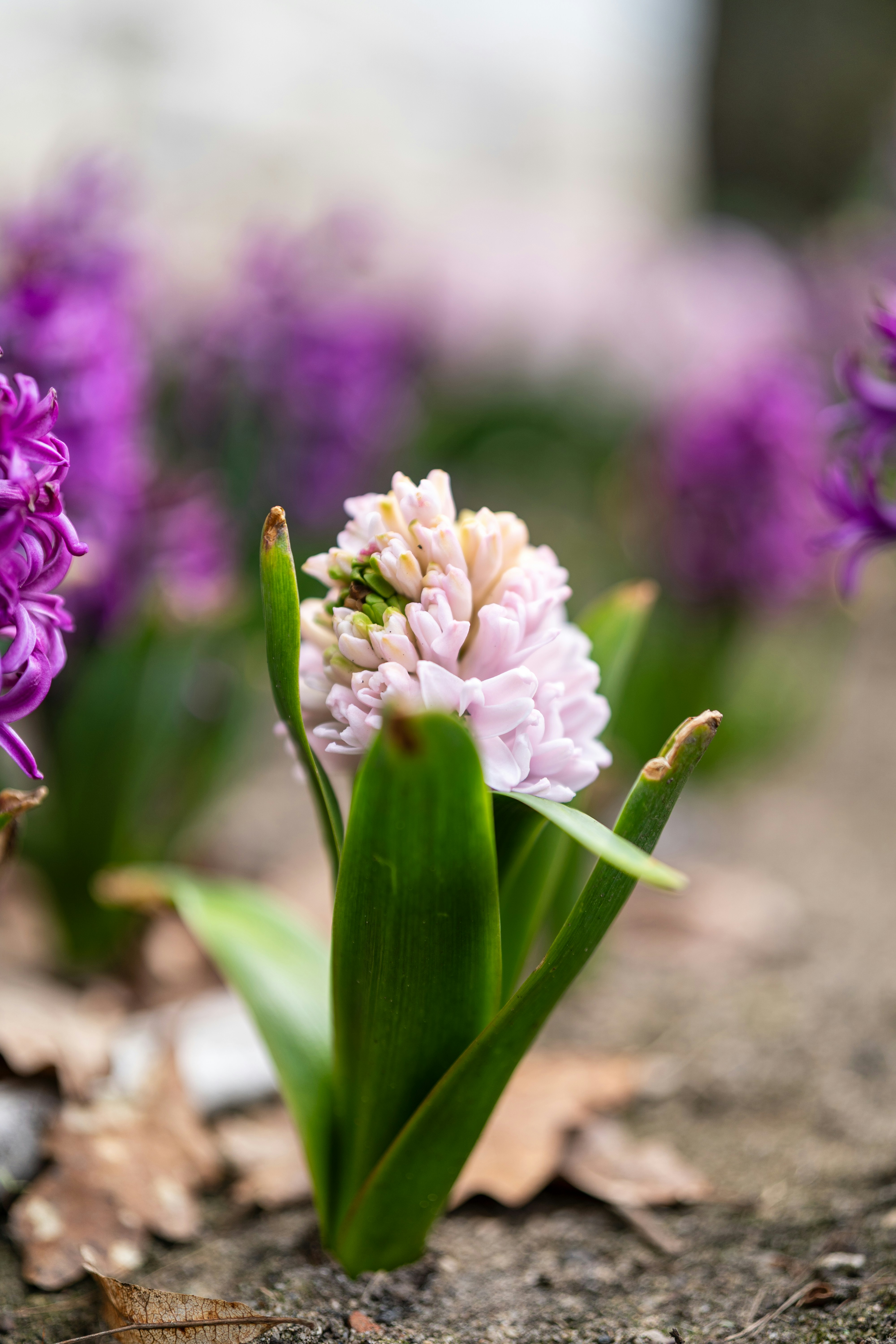 Photo by bangscreative