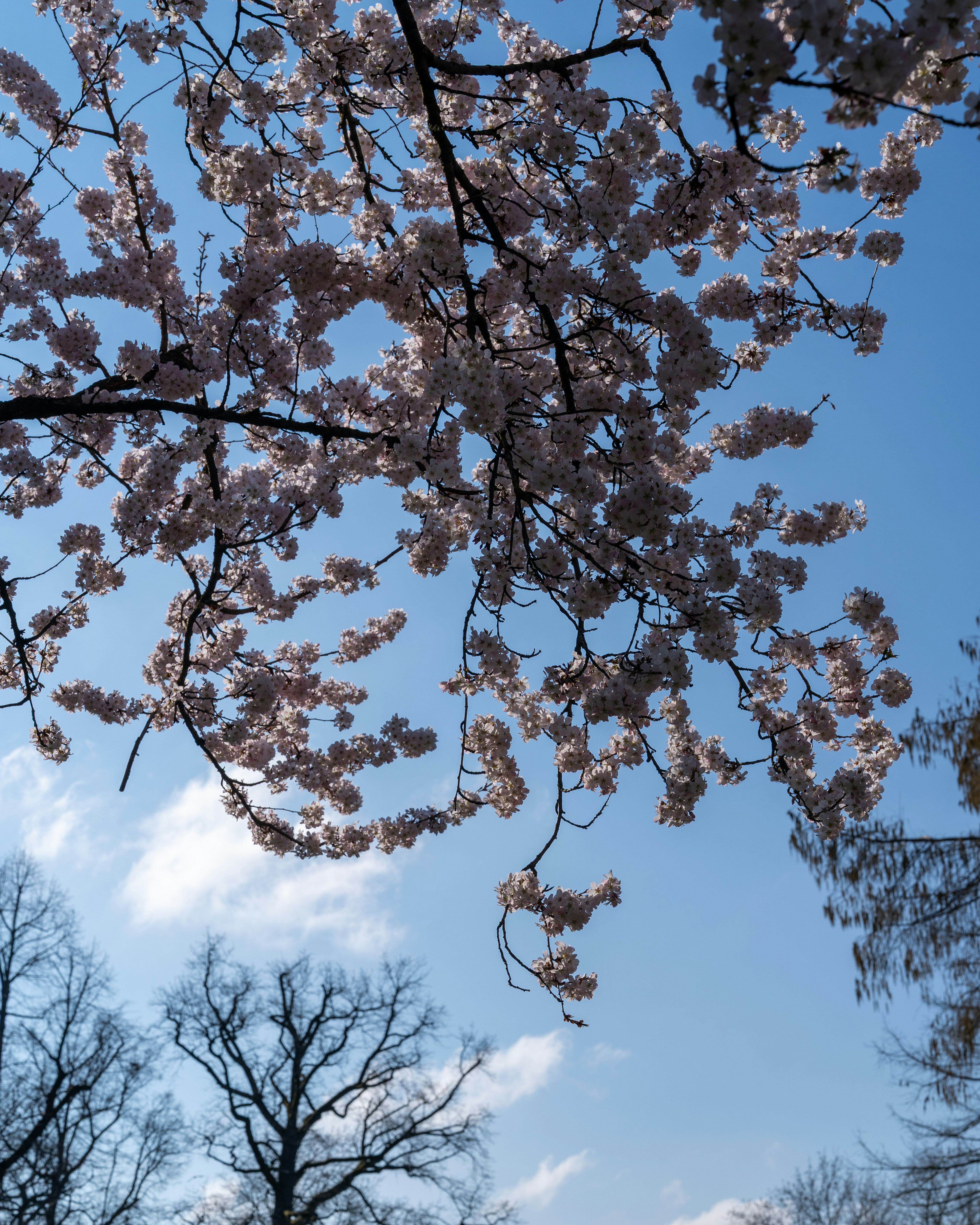 Photo by bangscreative