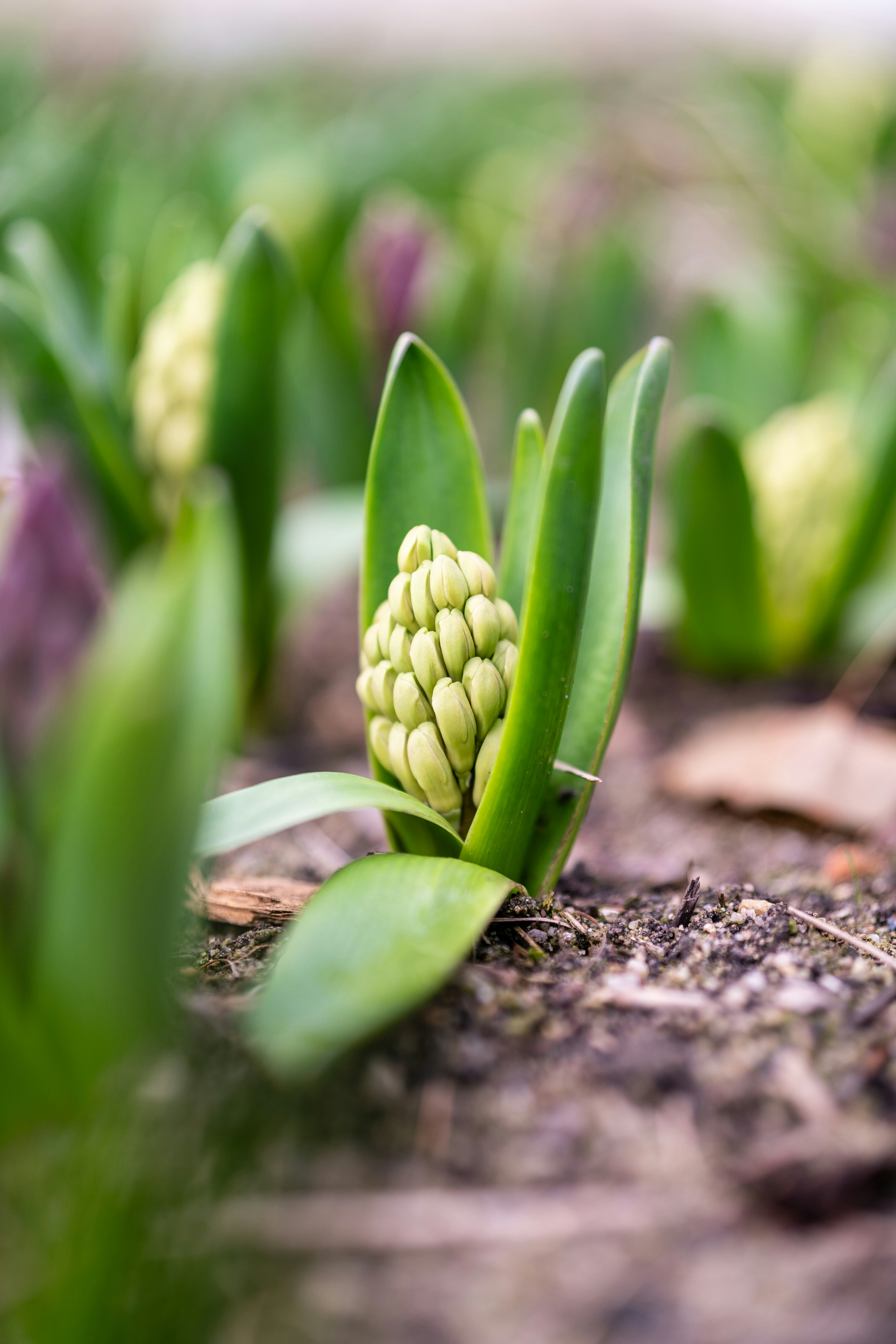 Photo by bangscreative