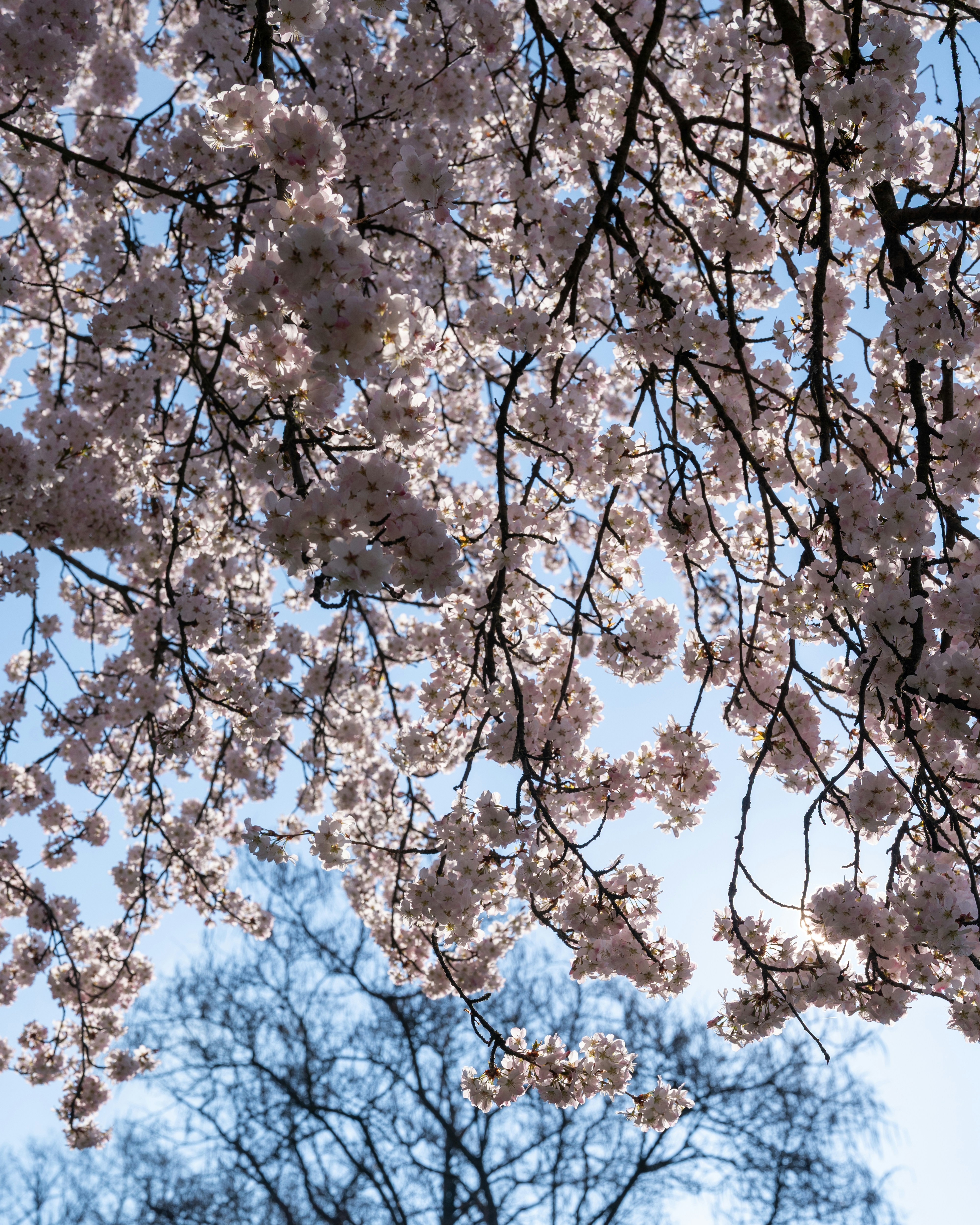 Photo by bangscreative