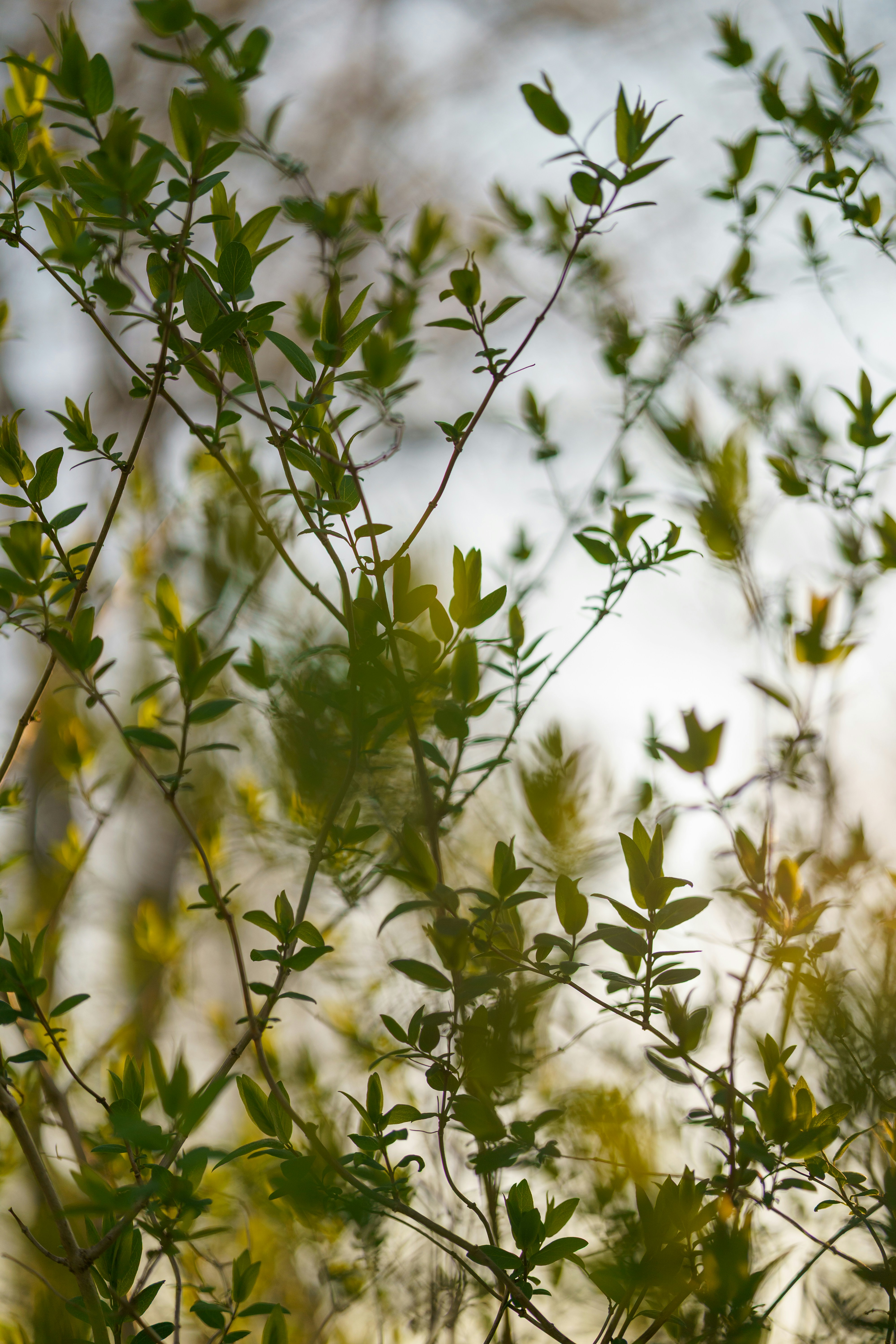 Photo by bangscreative