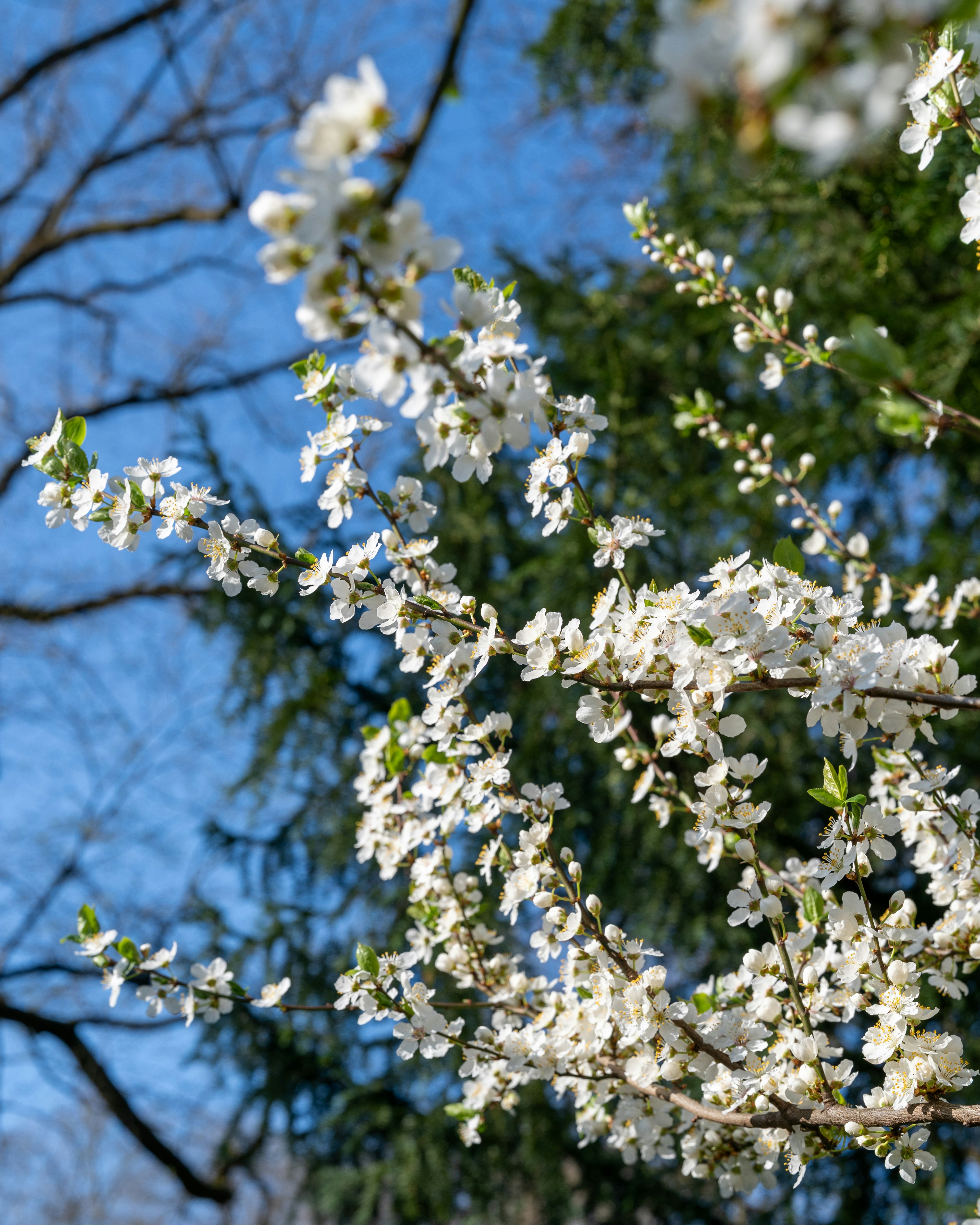 Photo by bangscreative