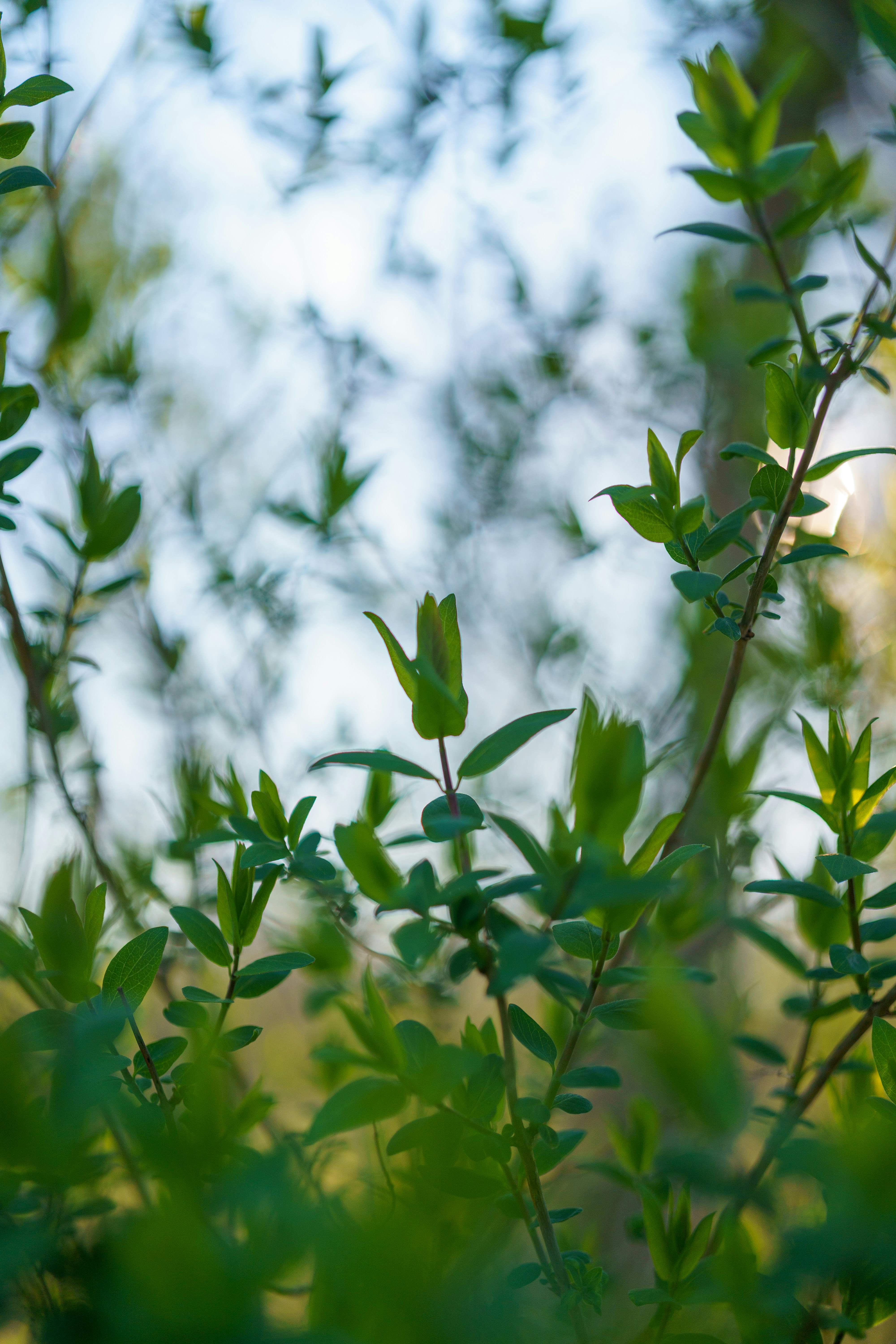 Photo by bangscreative