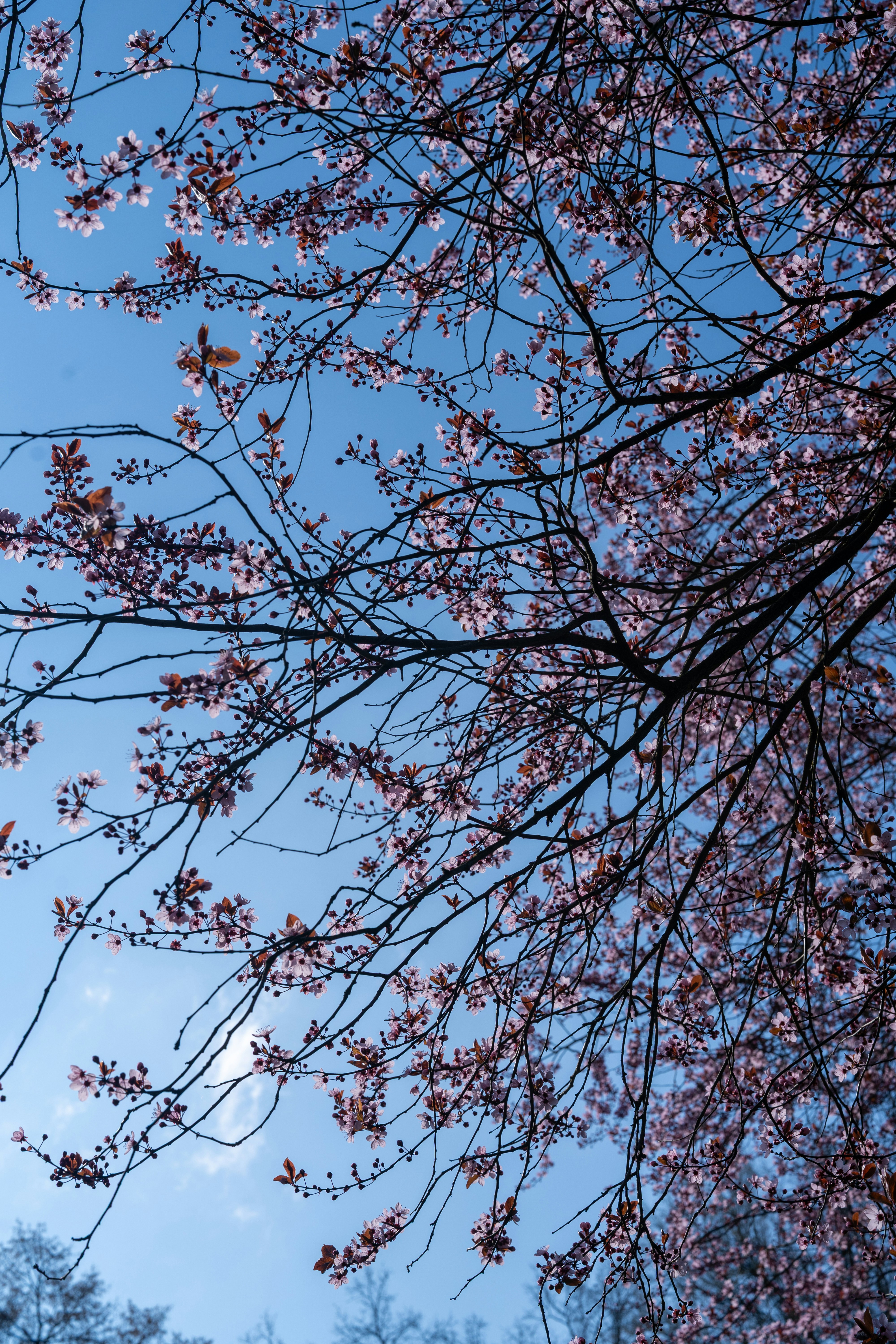 Photo by bangscreative