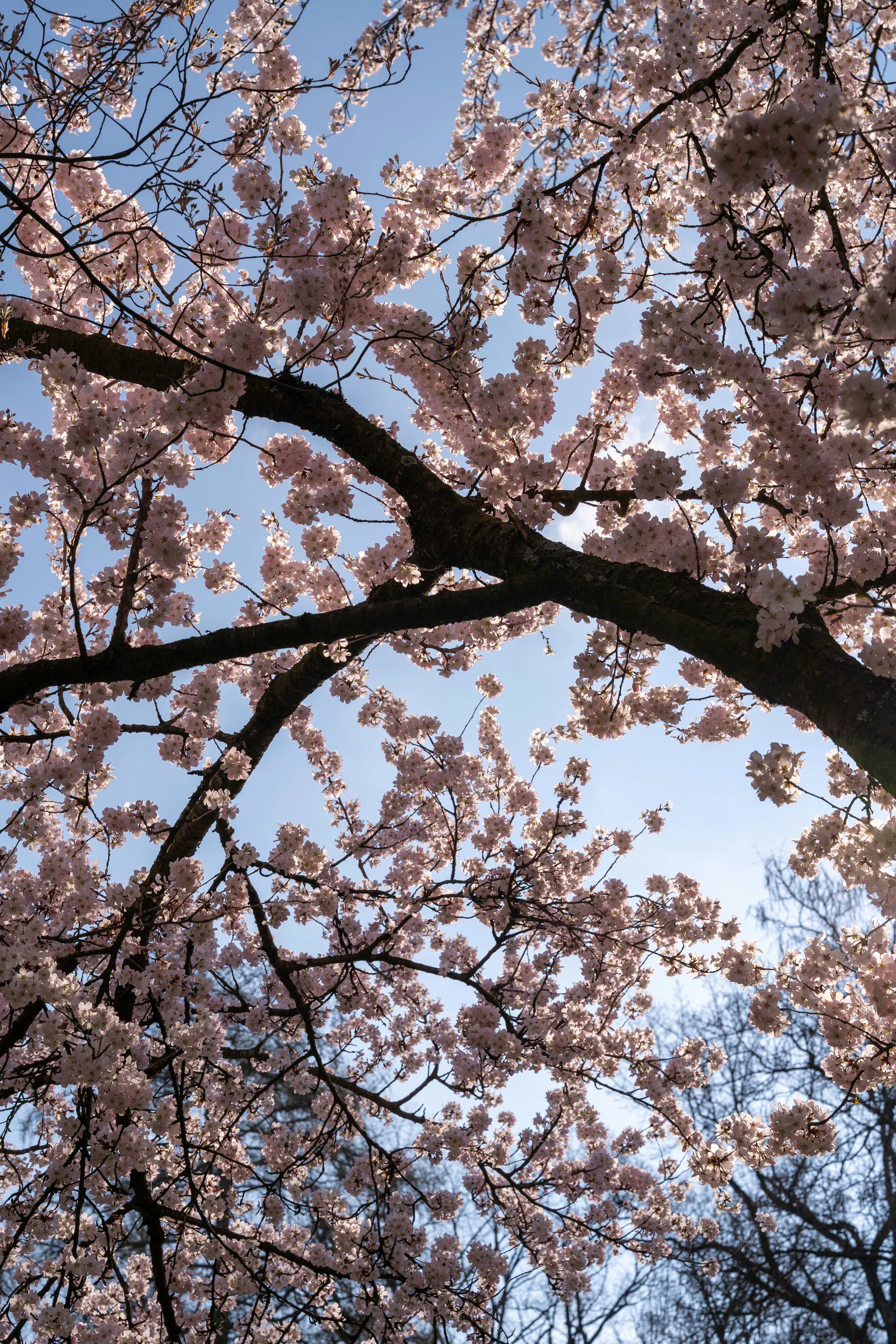 Photo by bangscreative