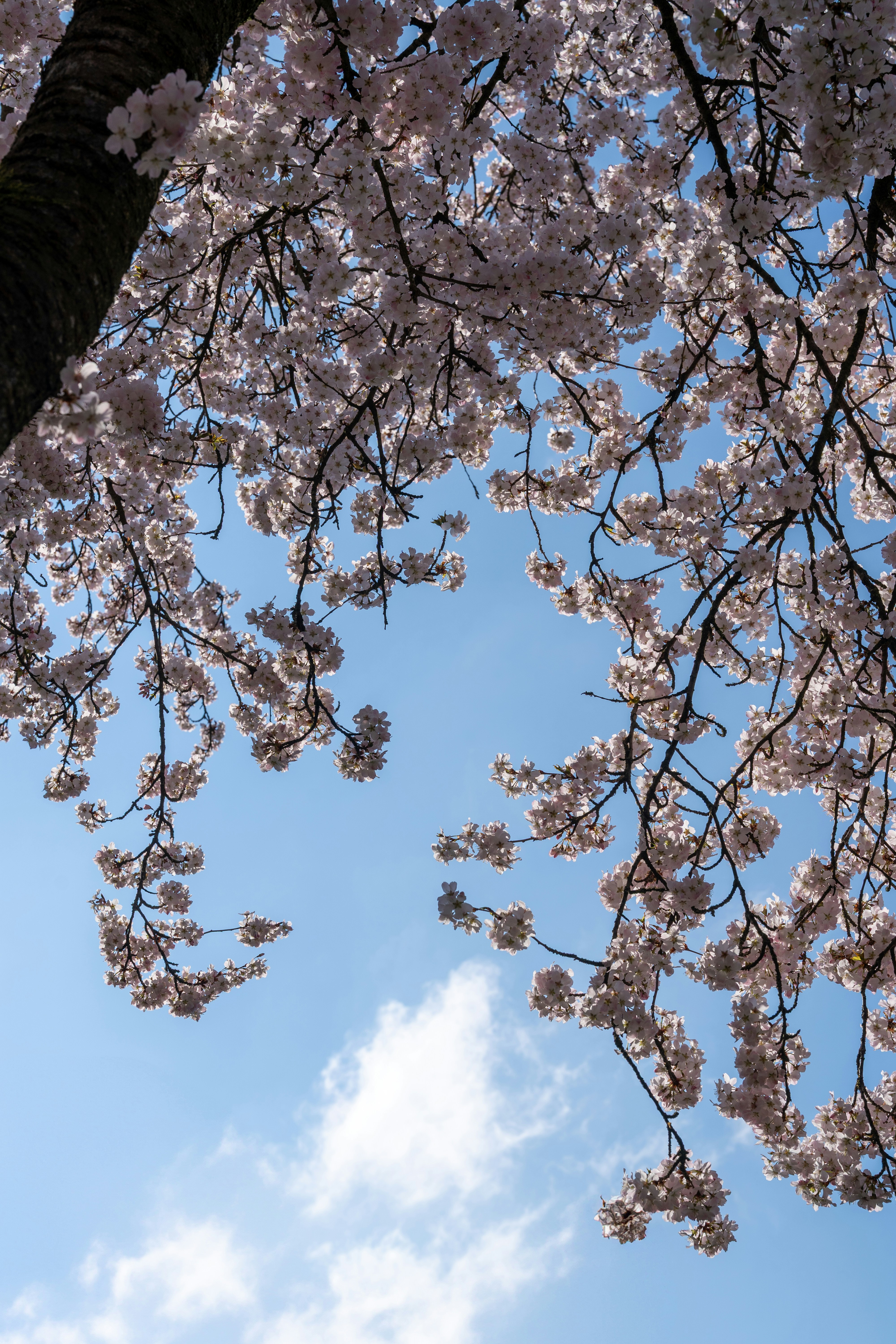 Photo by bangscreative