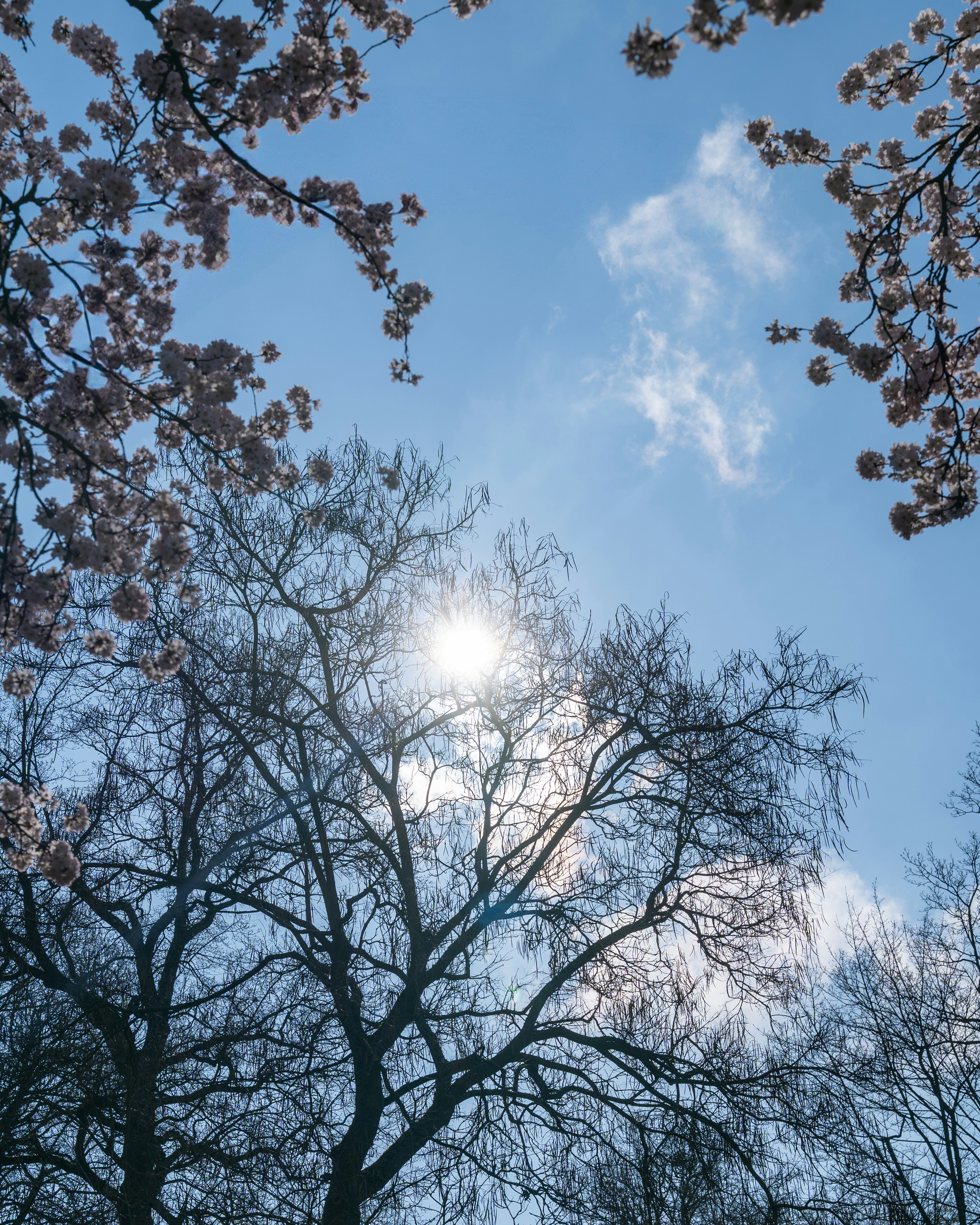 Photo by bangscreative