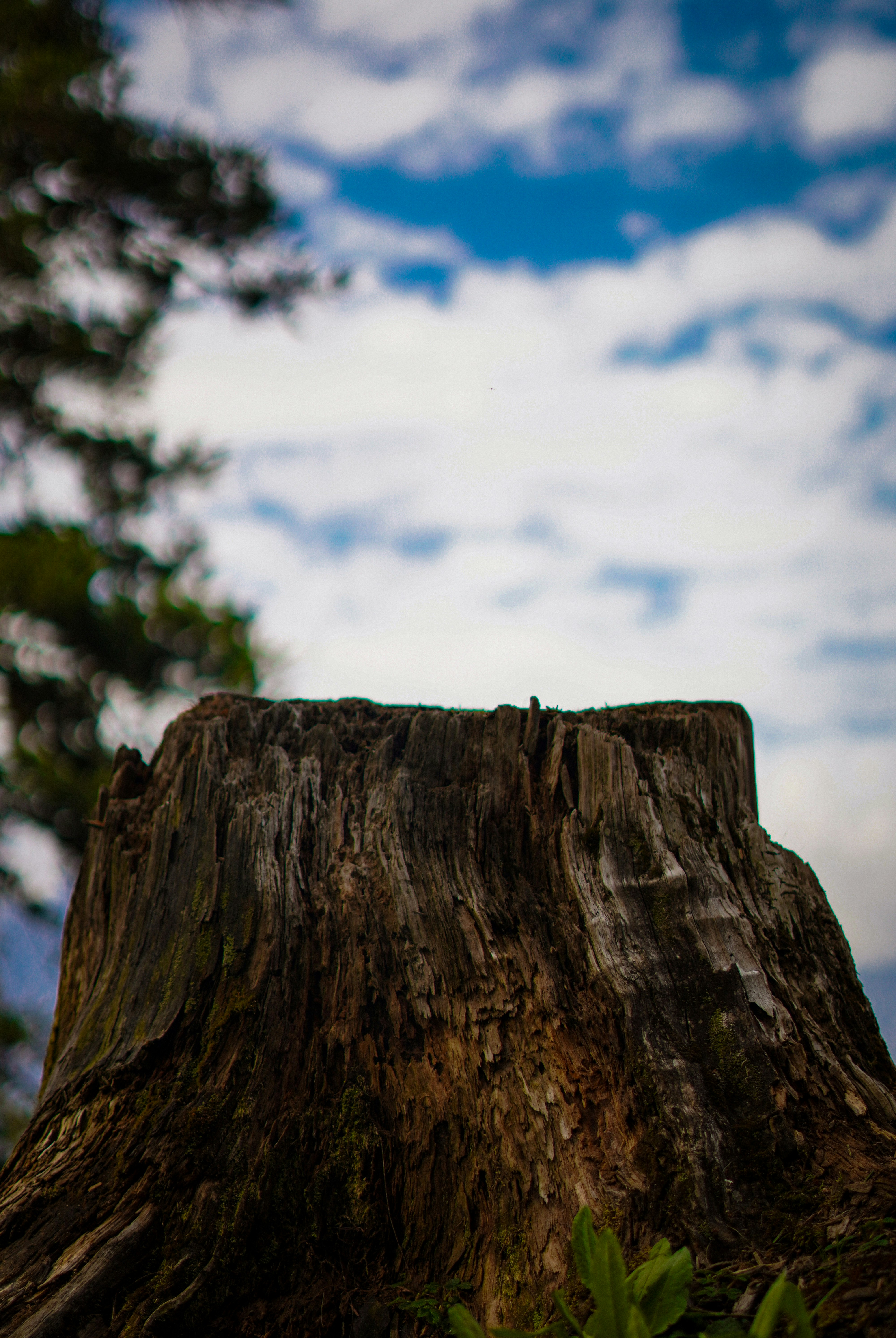 Photo by storiesbyyogeshgupta