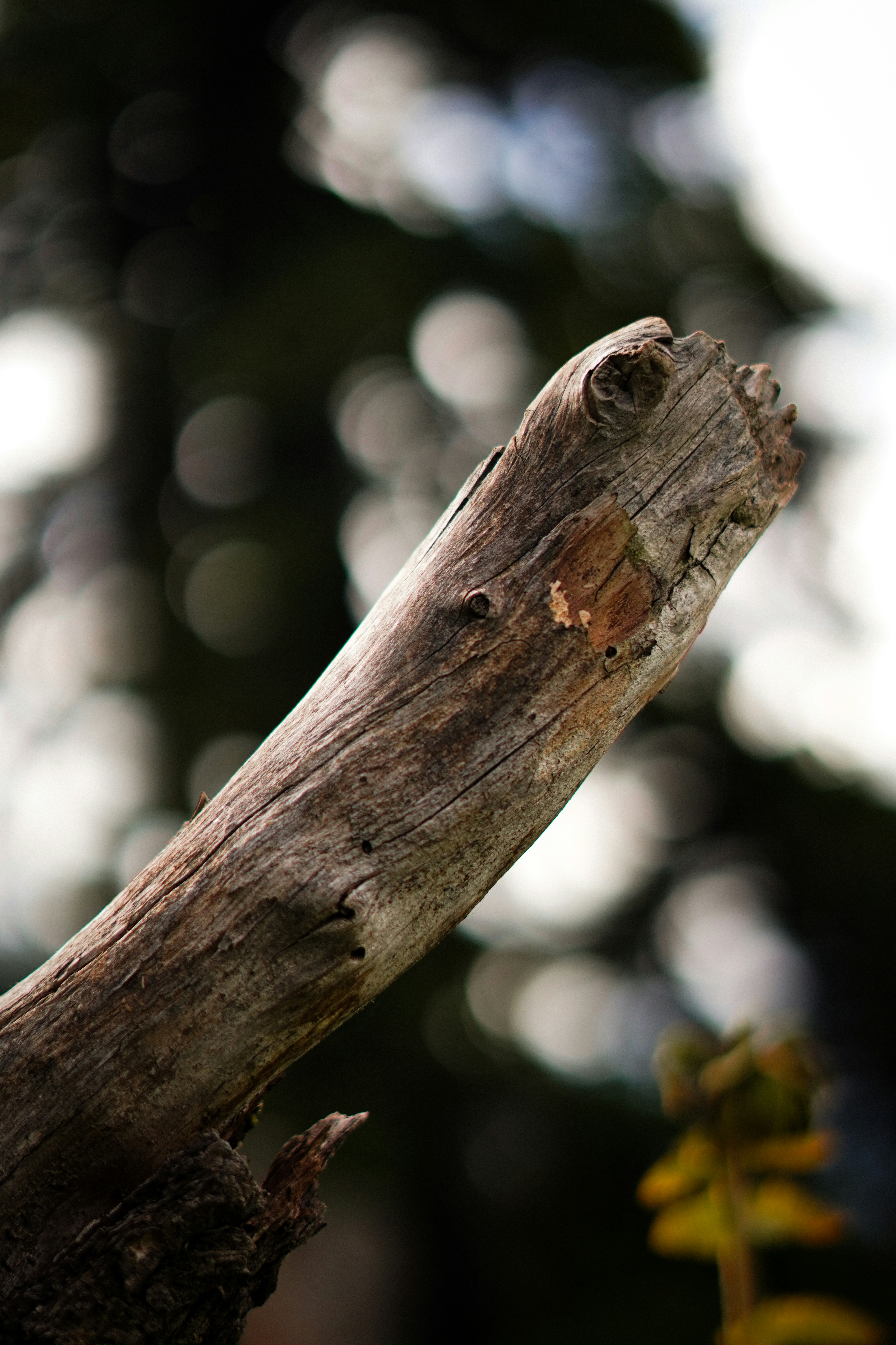 Photo by storiesbyyogeshgupta