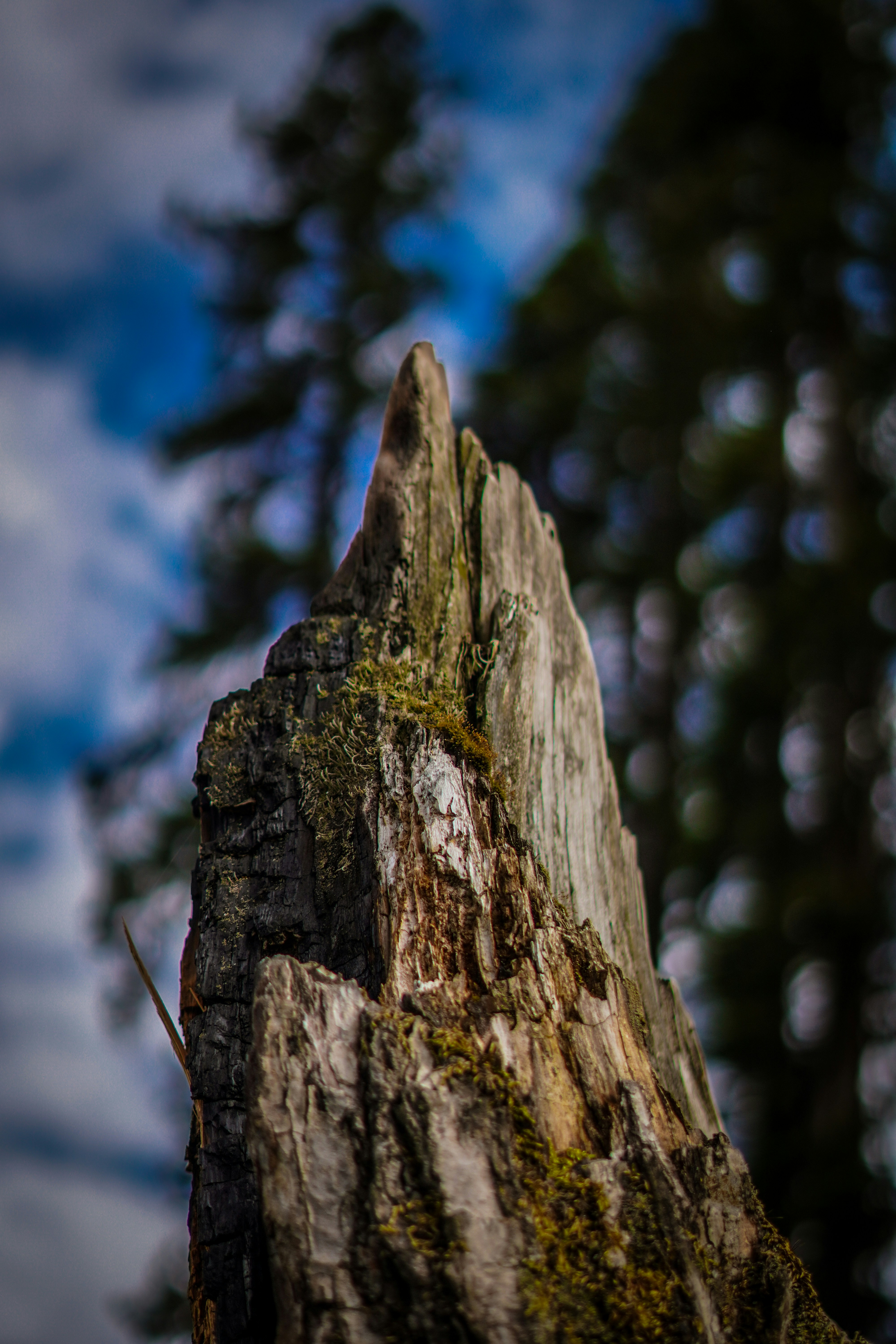 Photo by storiesbyyogeshgupta