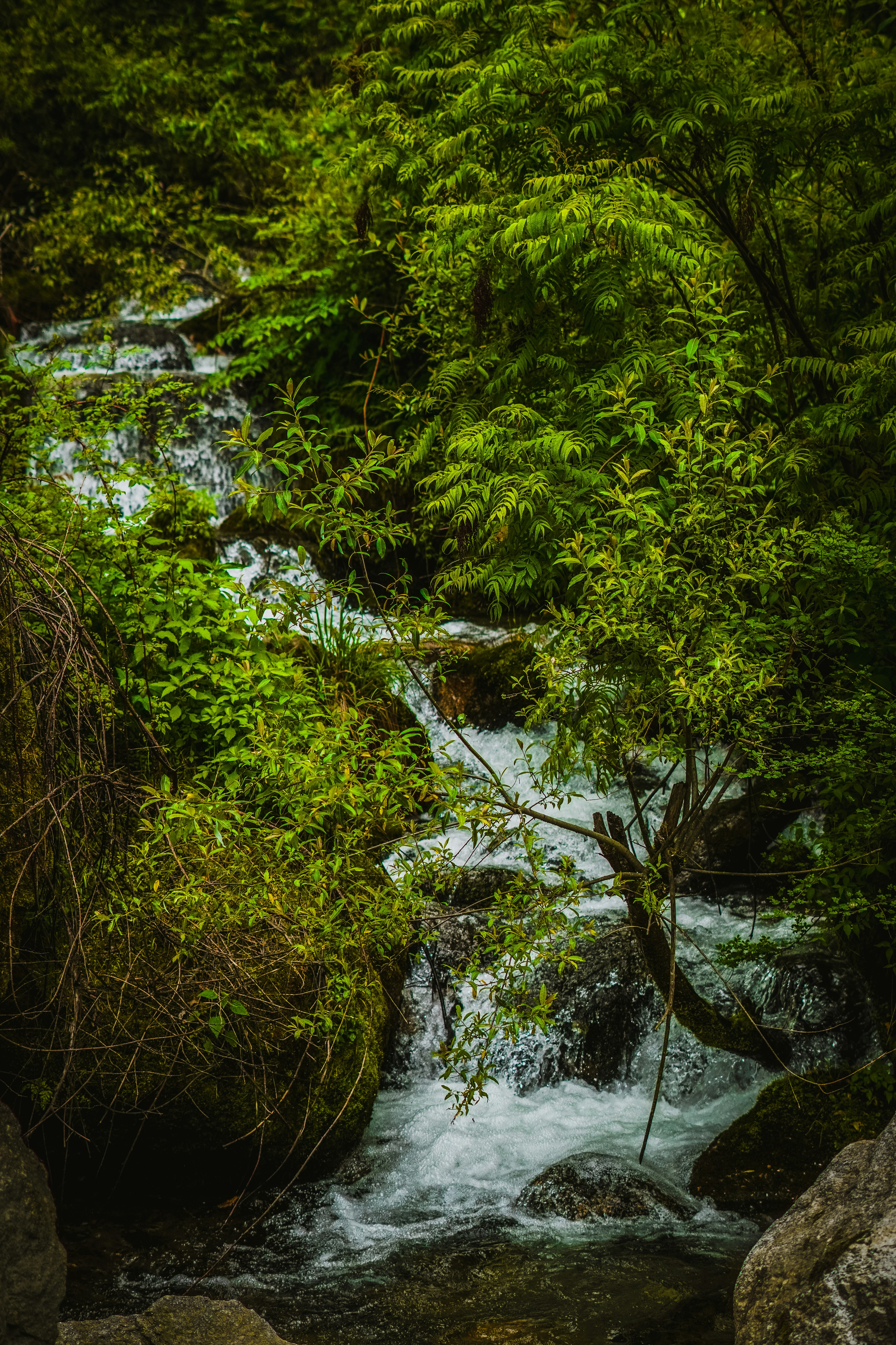 Photo by storiesbyyogeshgupta