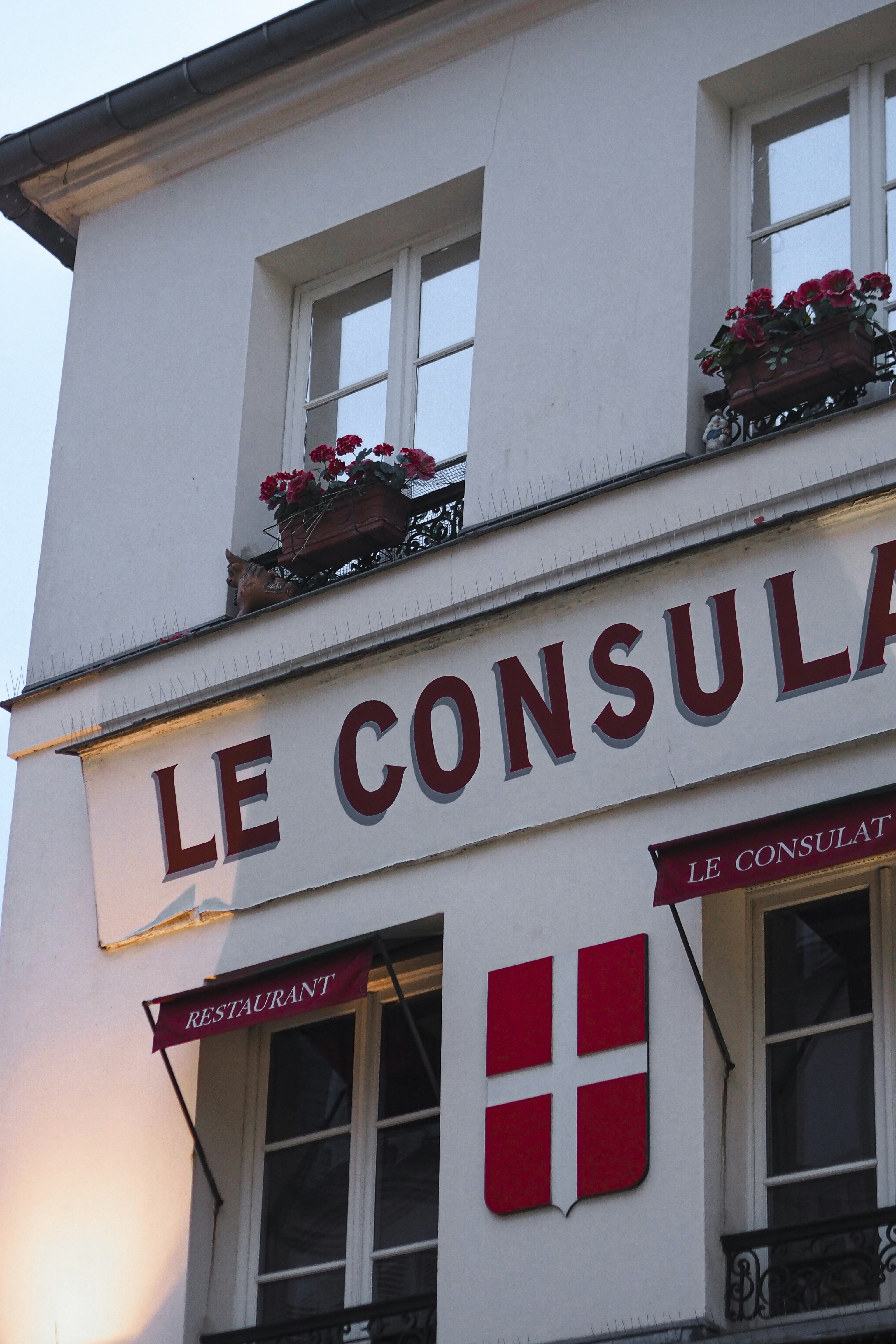 IRS compliance consultation