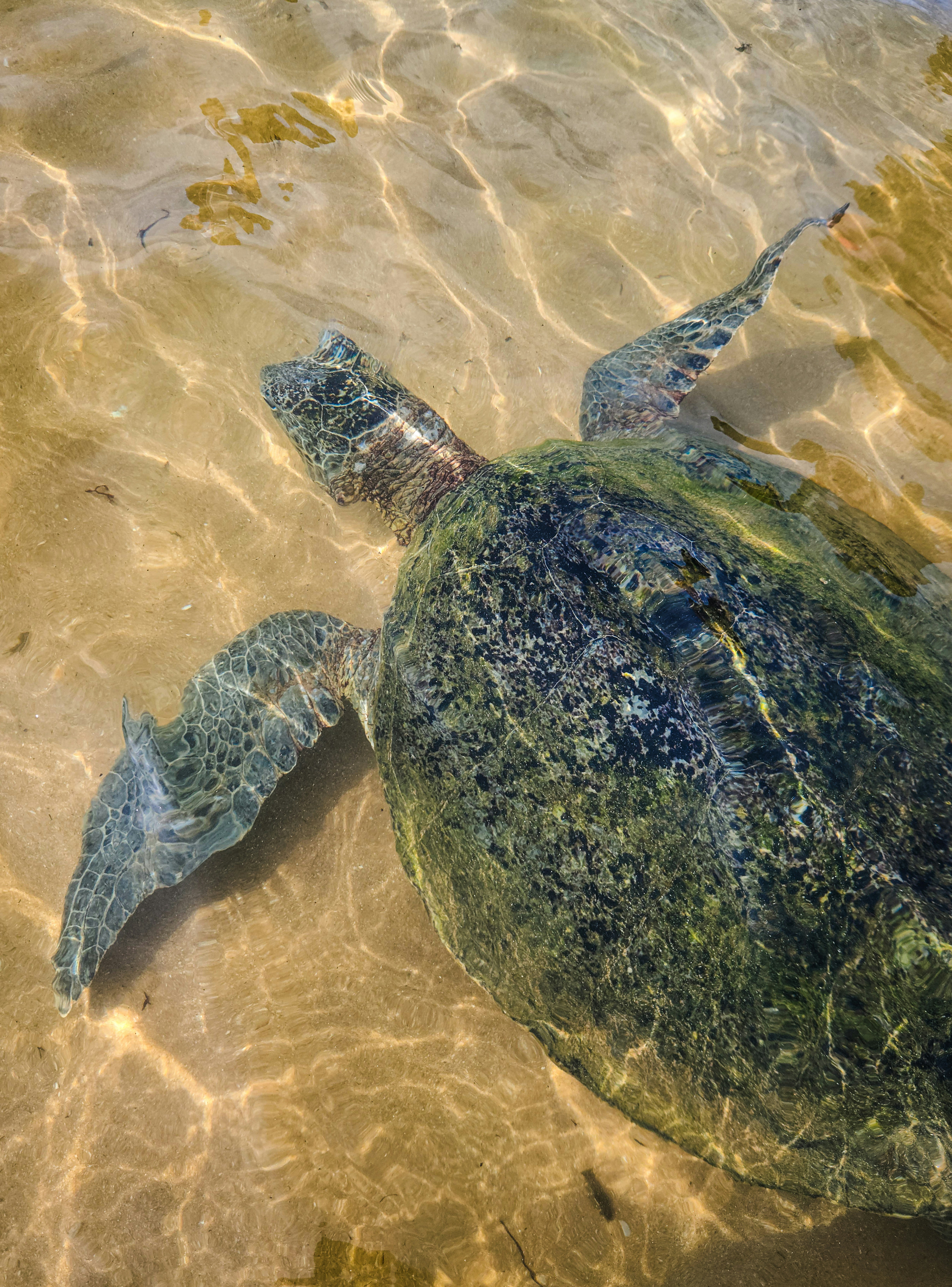 Photo by zoshuacolah