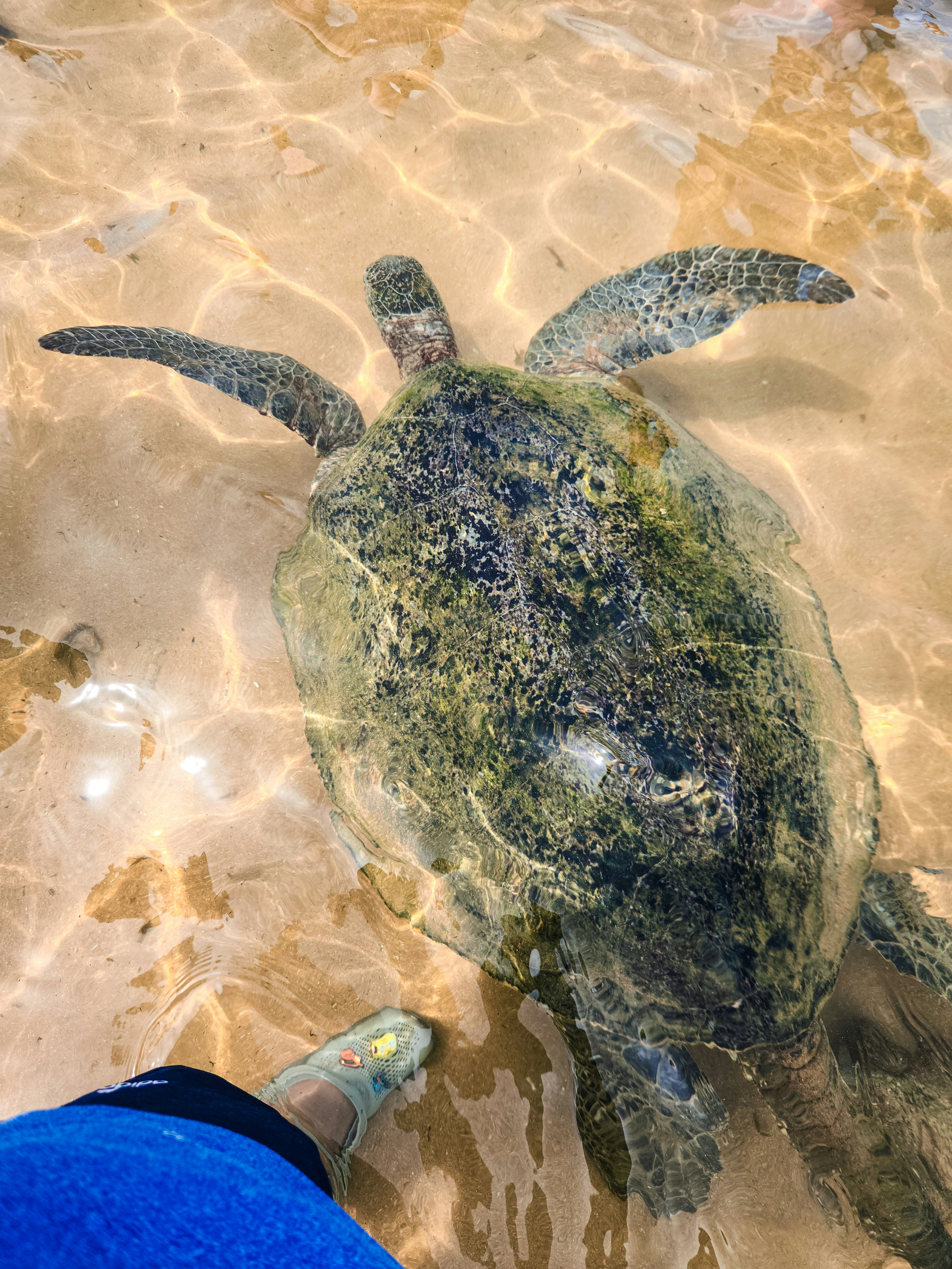 Photo by zoshuacolah