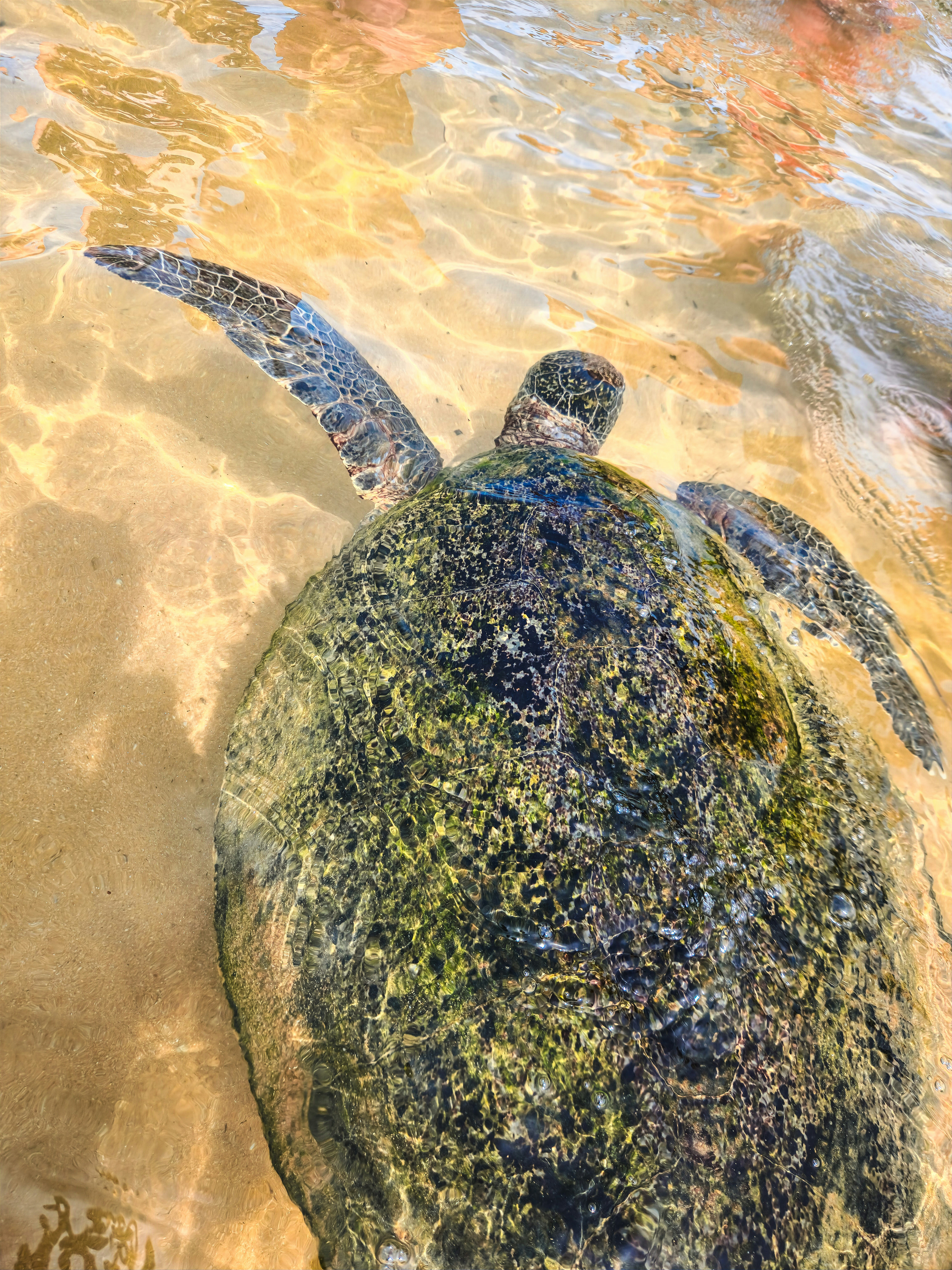 Photo by zoshuacolah