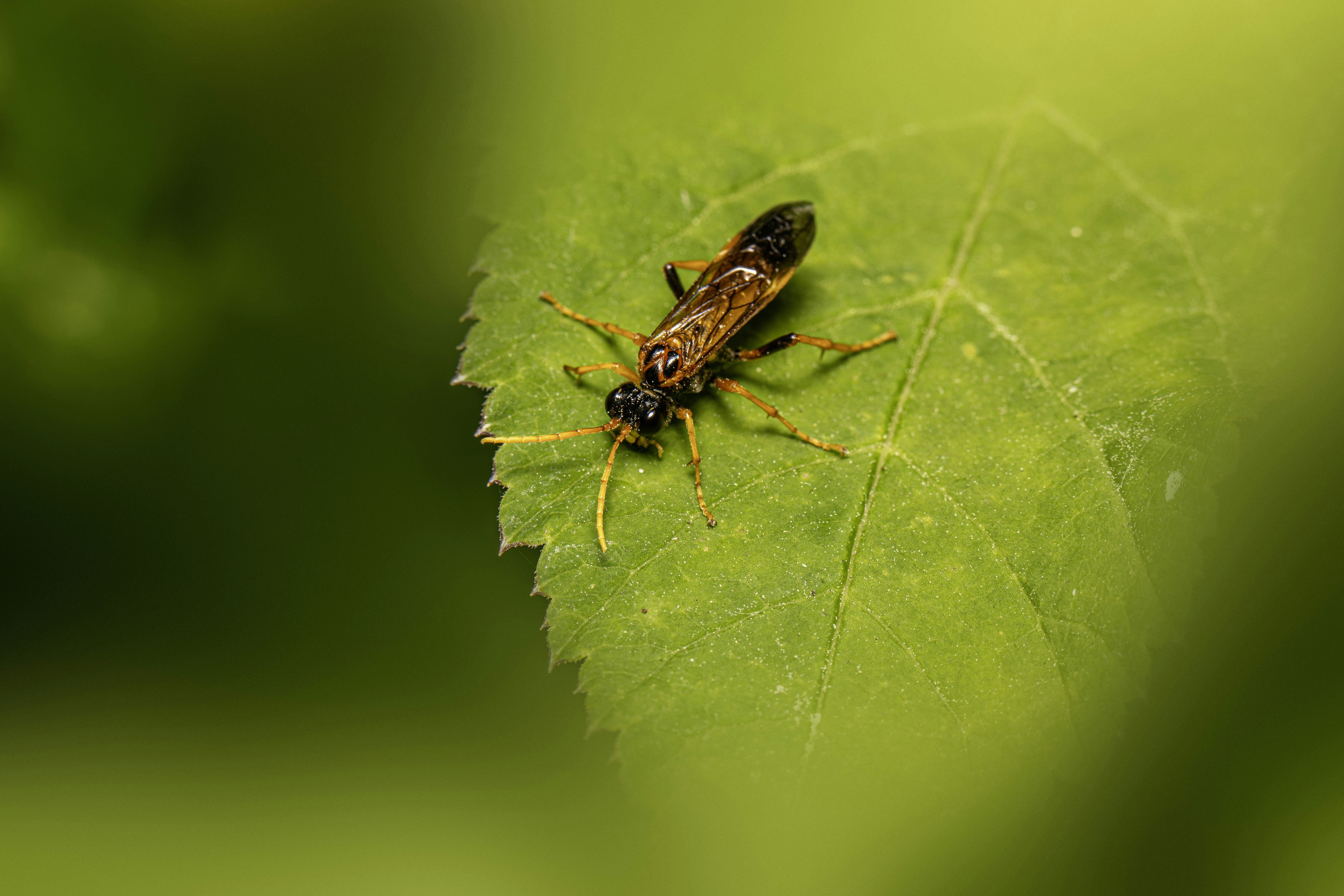 Photo by erik_karits