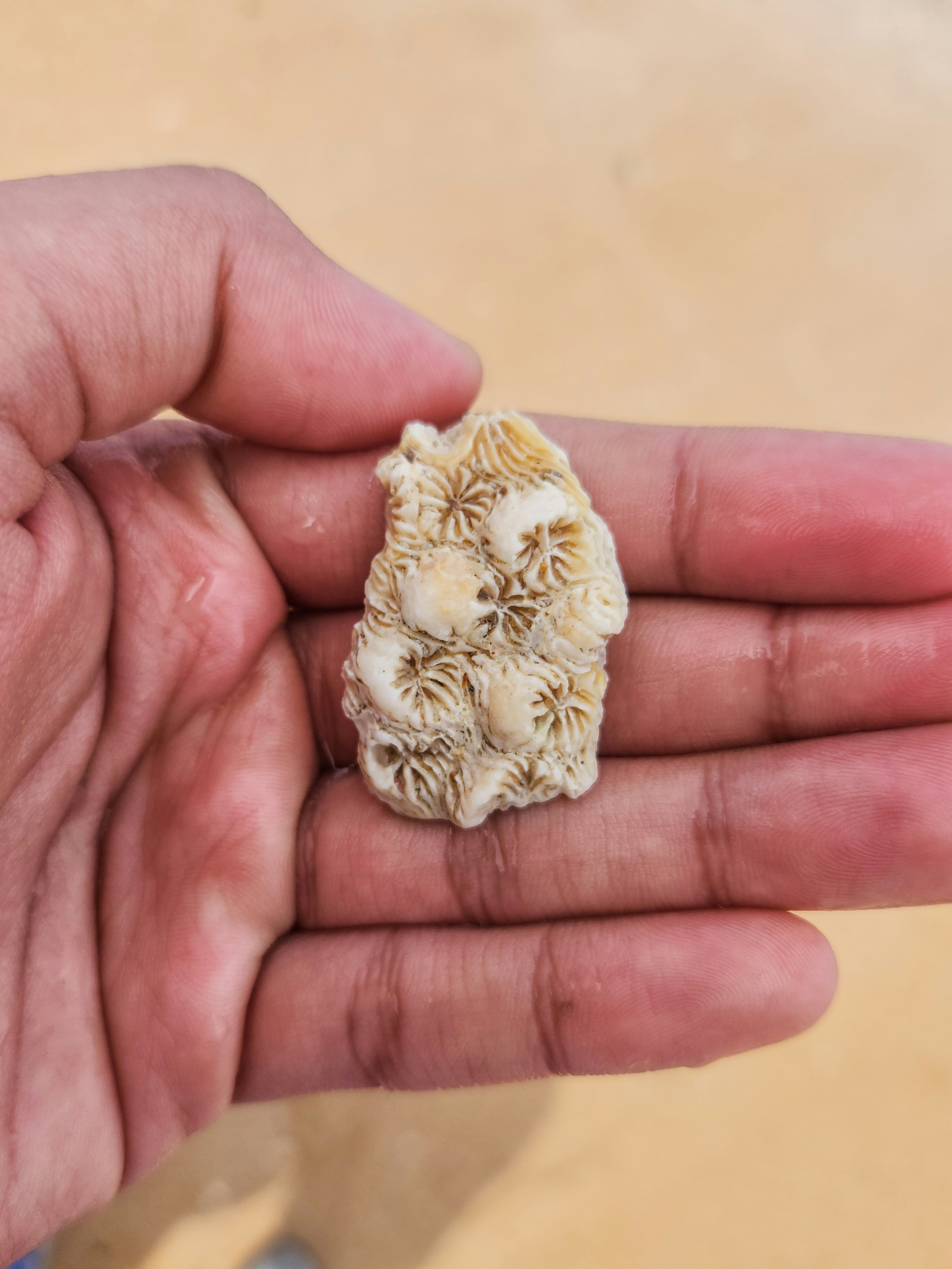 Photo by zoshuacolah