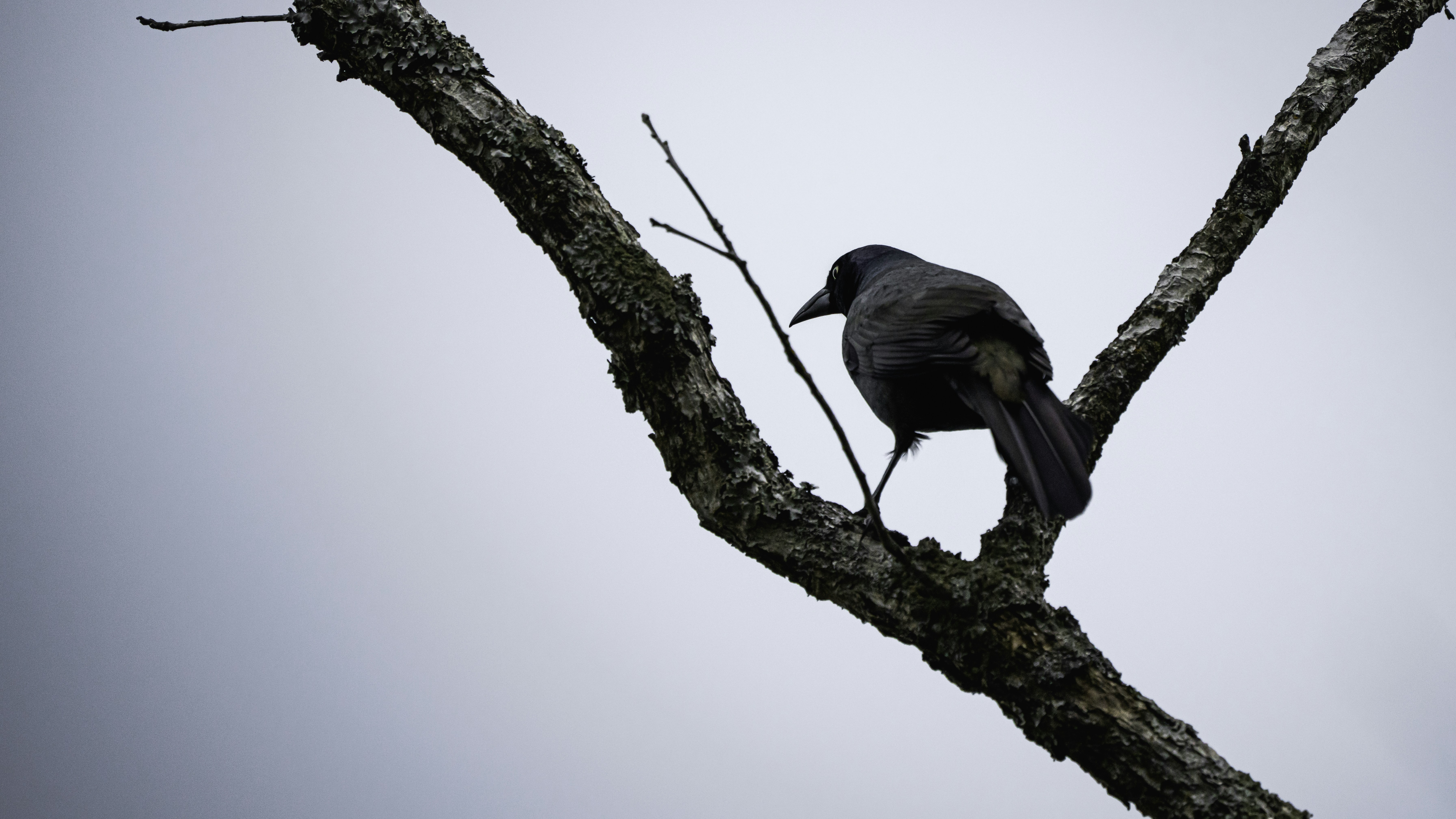 Photo by maldography