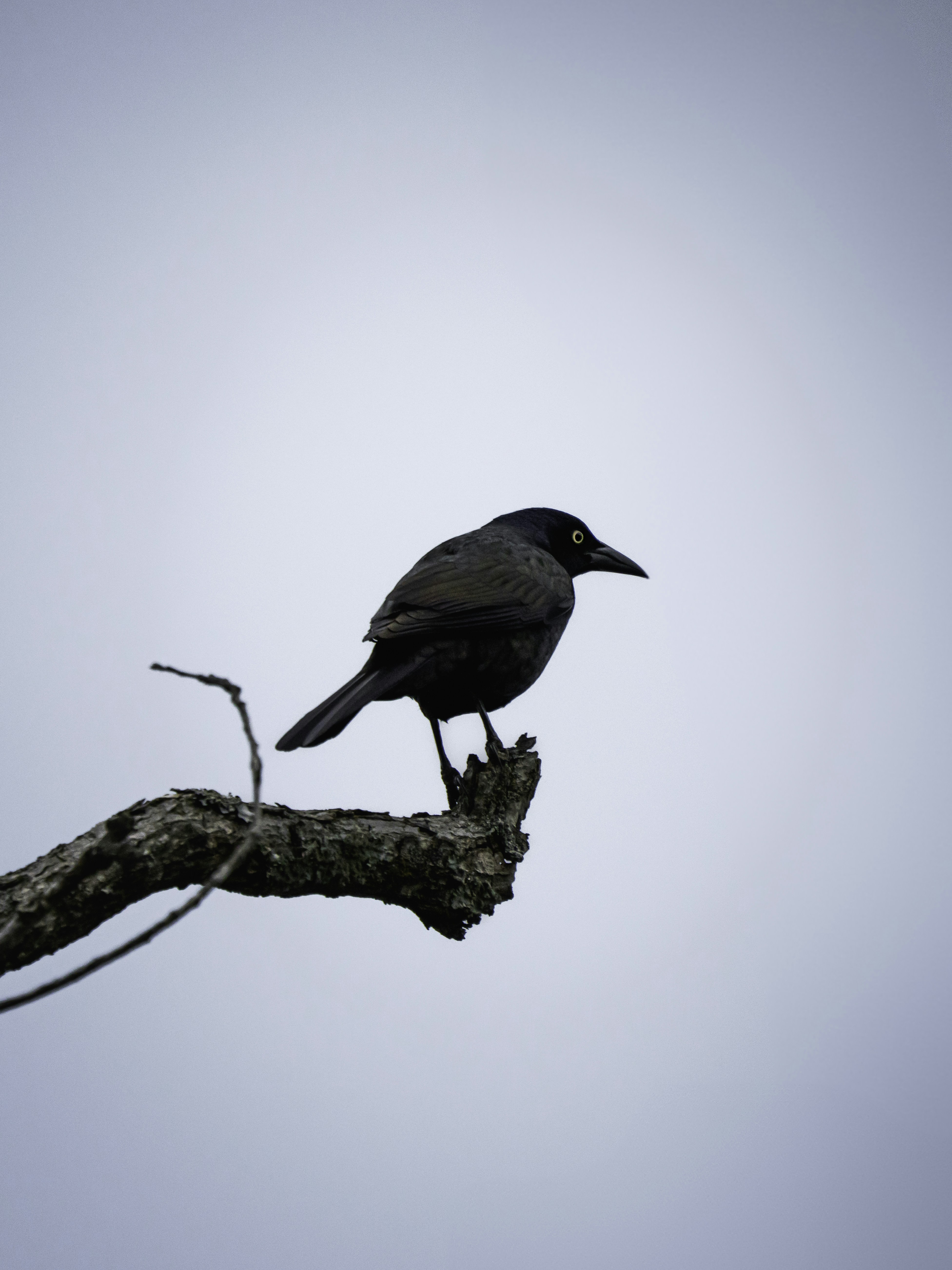 Photo by maldography