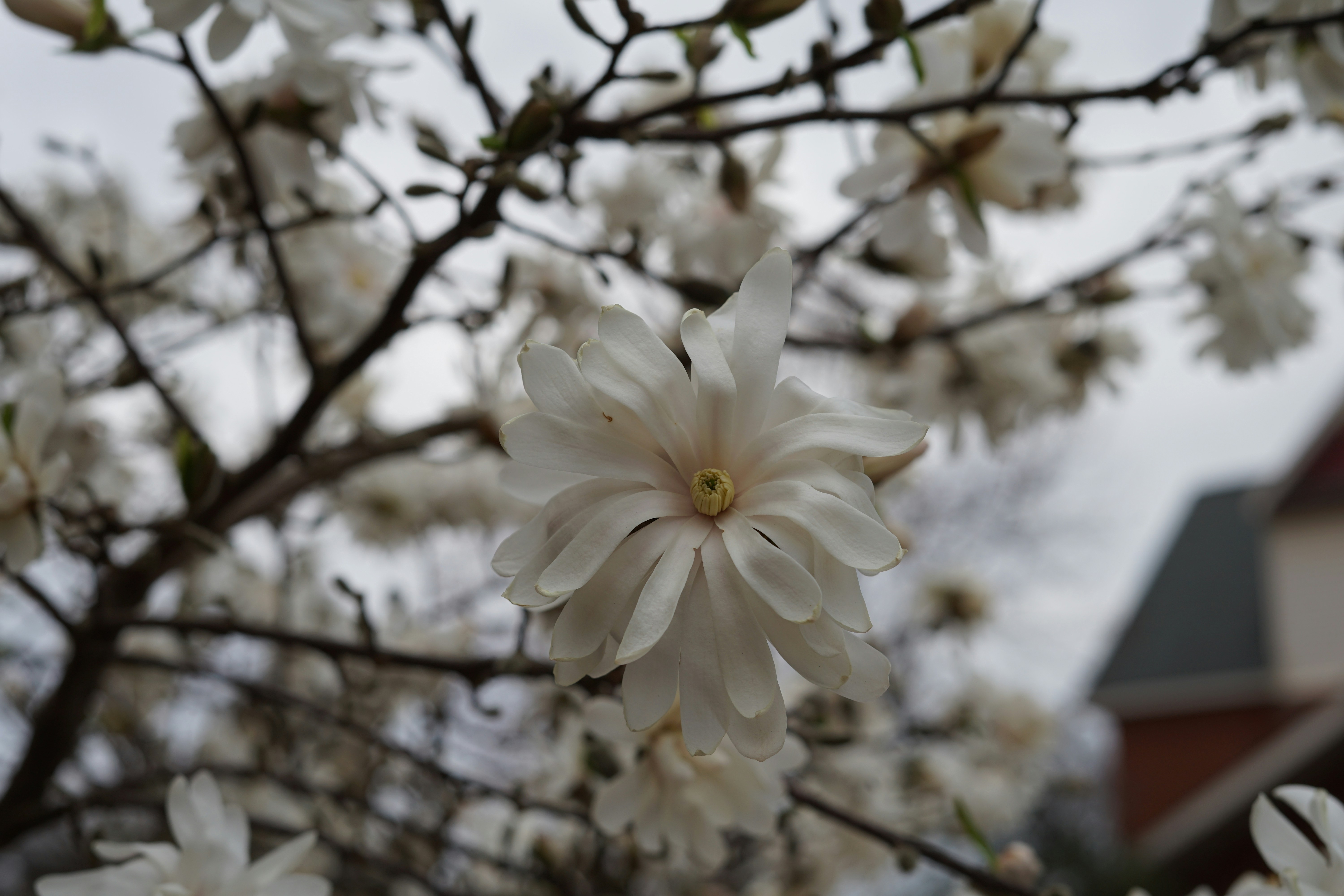 Photo by edhphotography