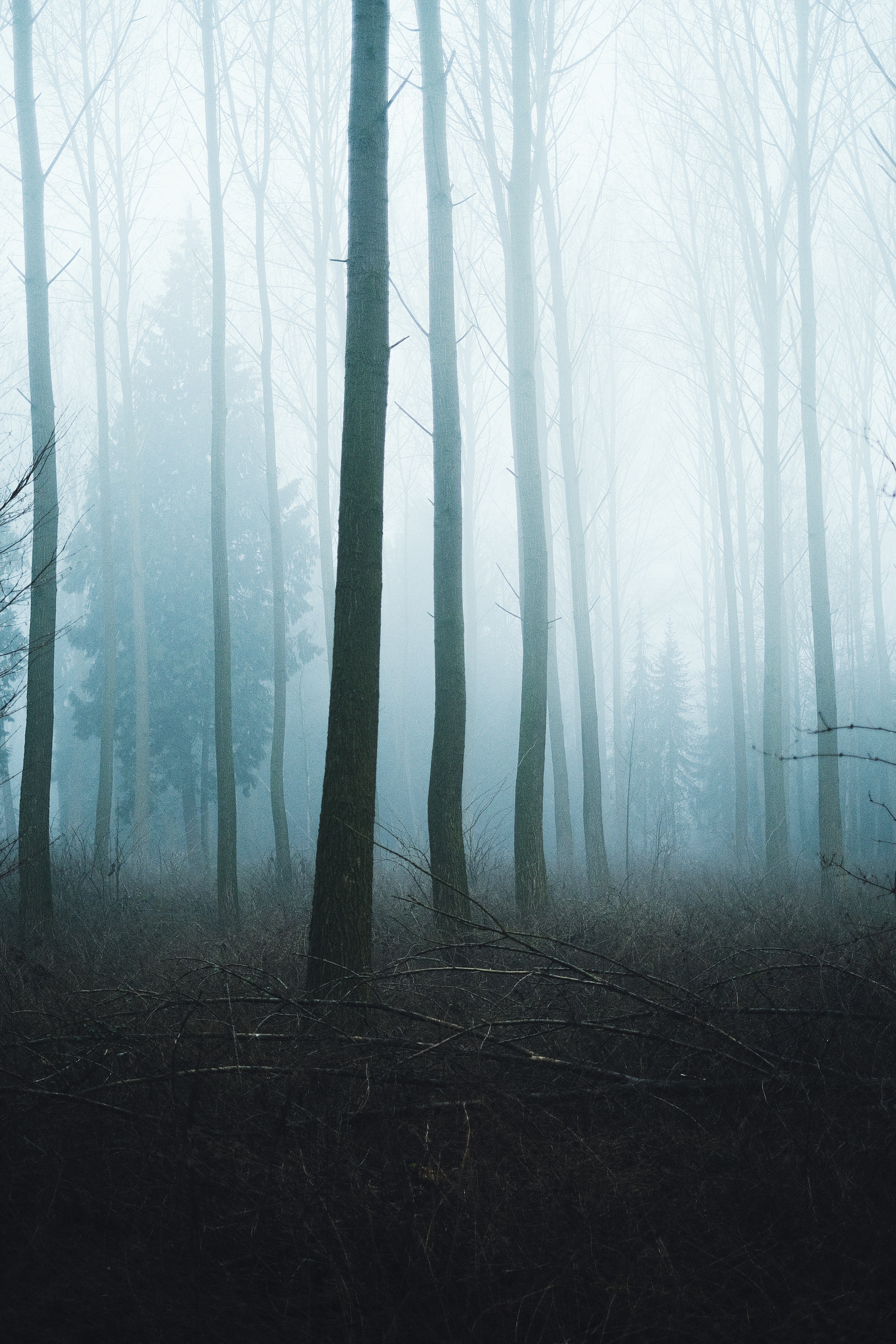 Photo by visualsbying