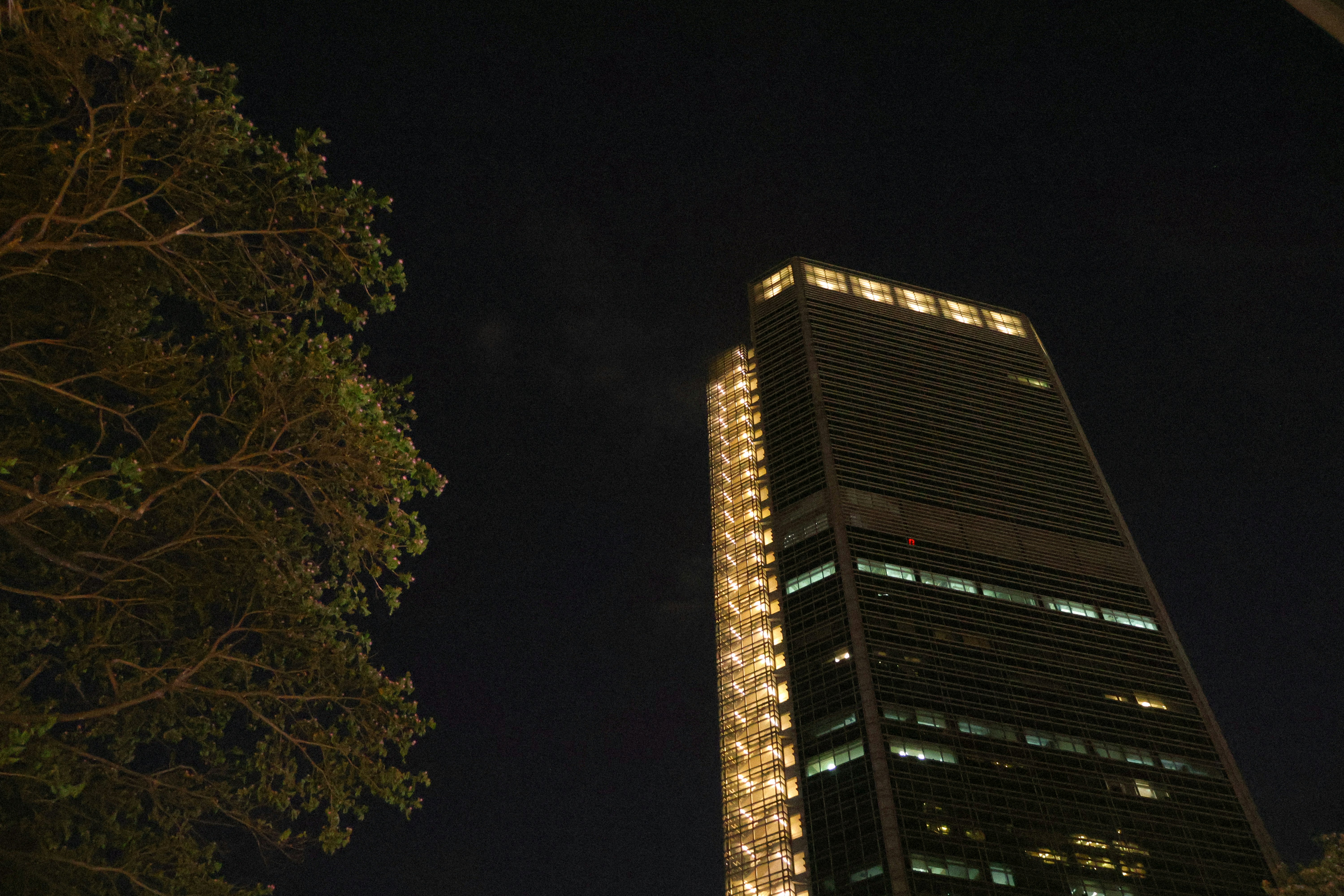 Photo by bridgetadolfo