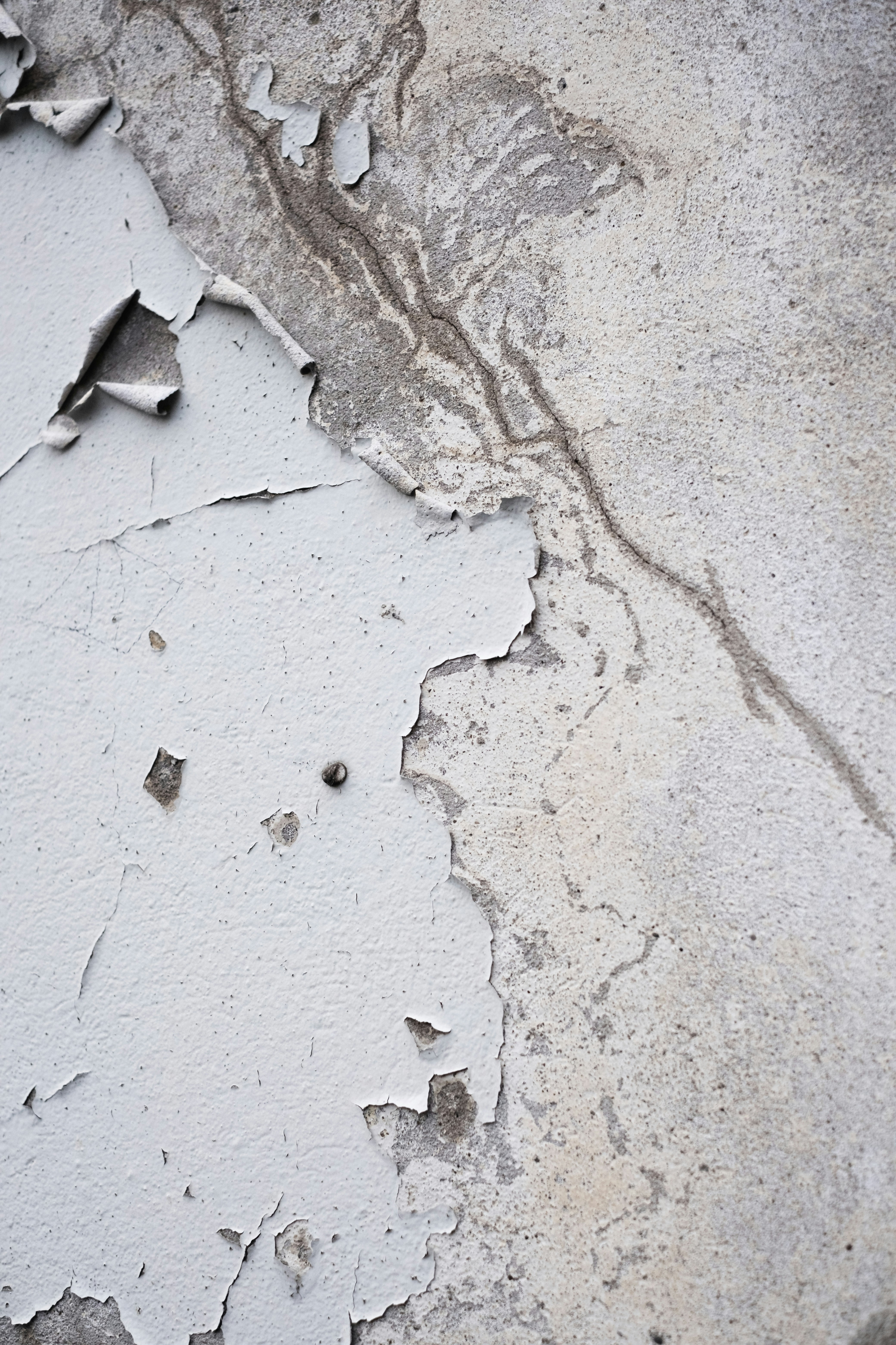 Photo by visualsbying