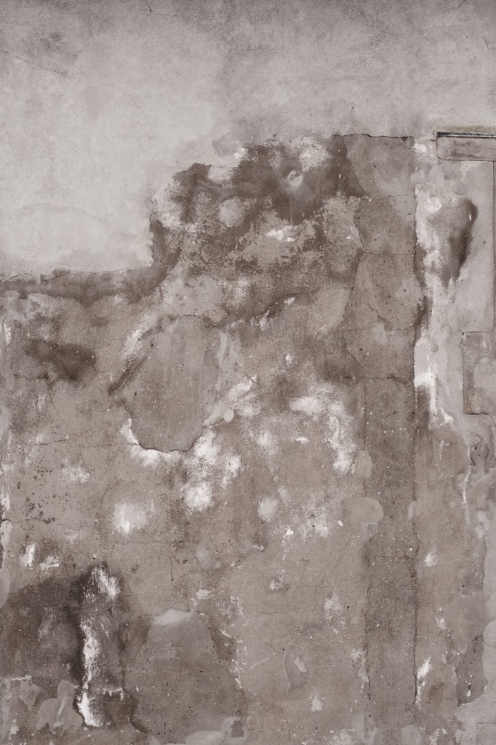 Wall showing water damage and moisture from basement water intrusion