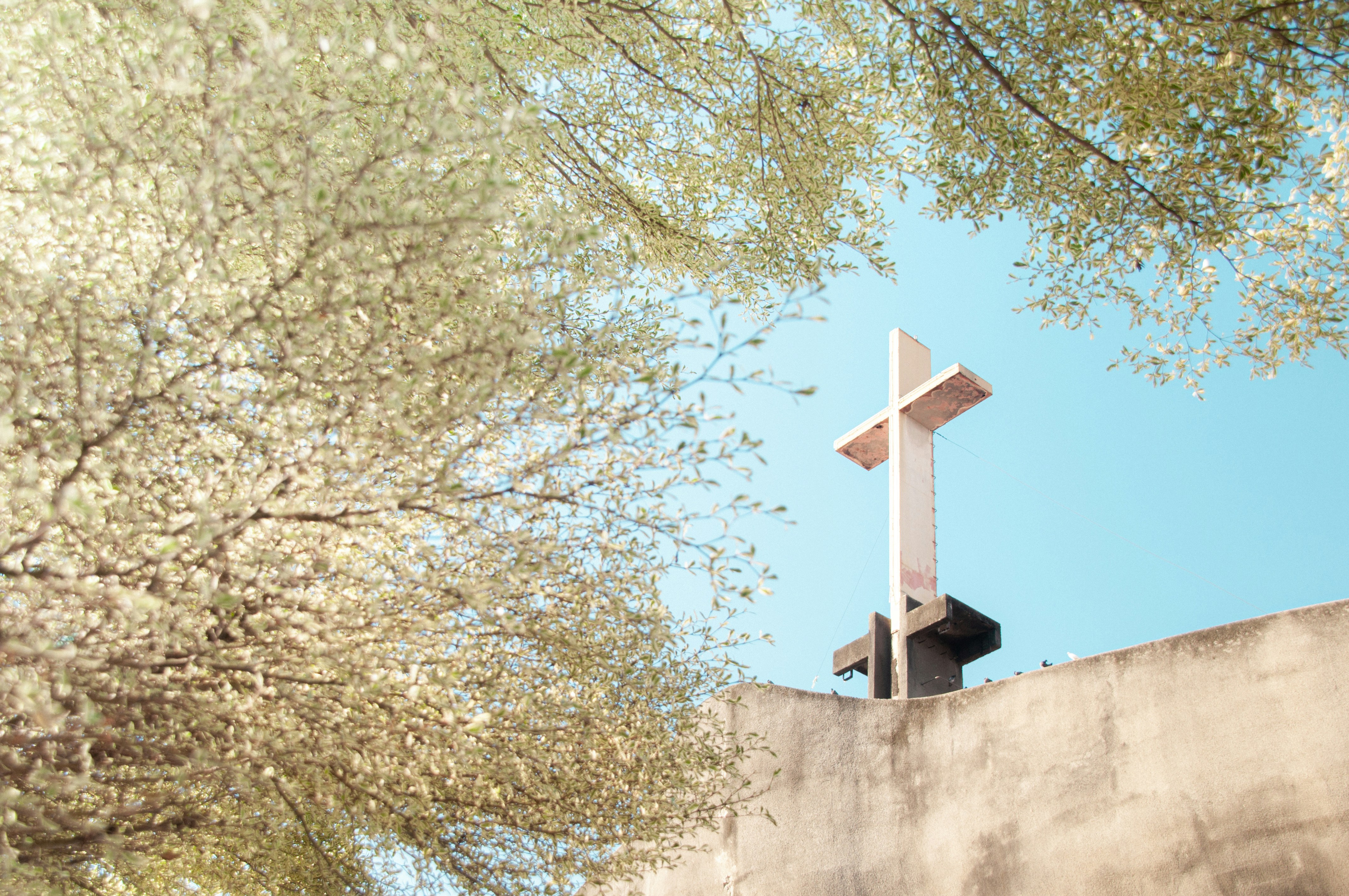 San Pedro Cathedral photo 2