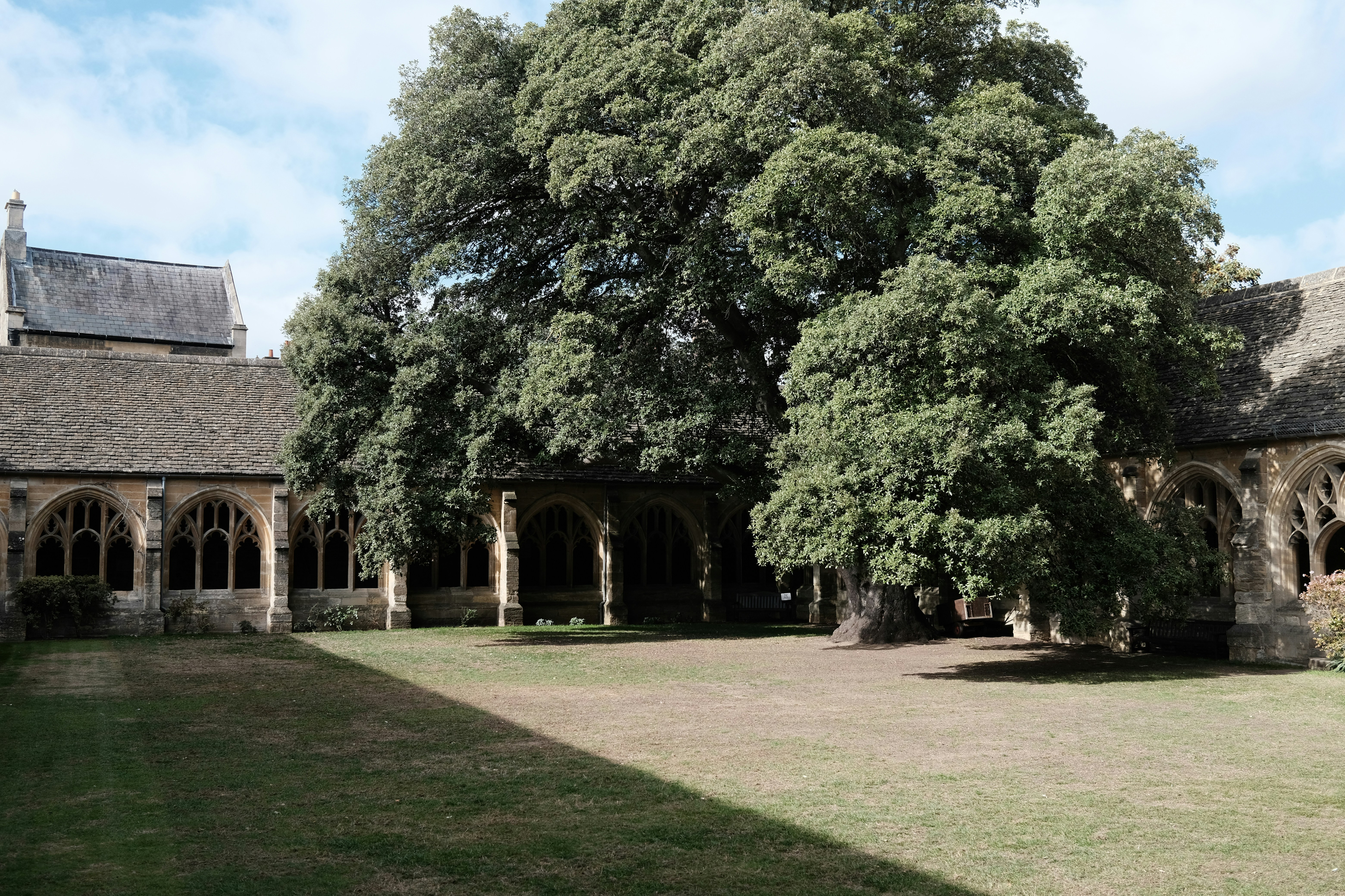 Photo by stereosonya