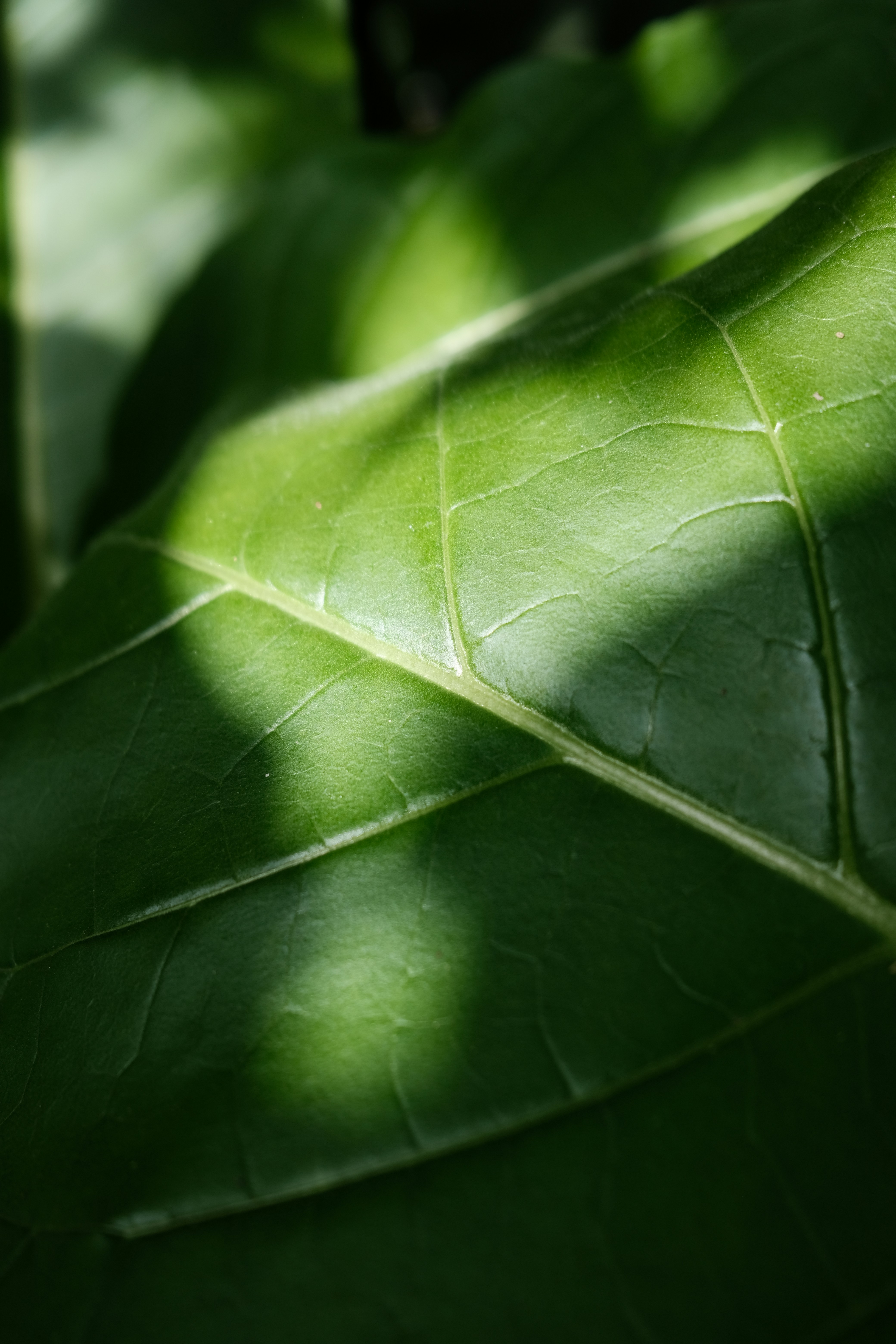 Photo by stereosonya