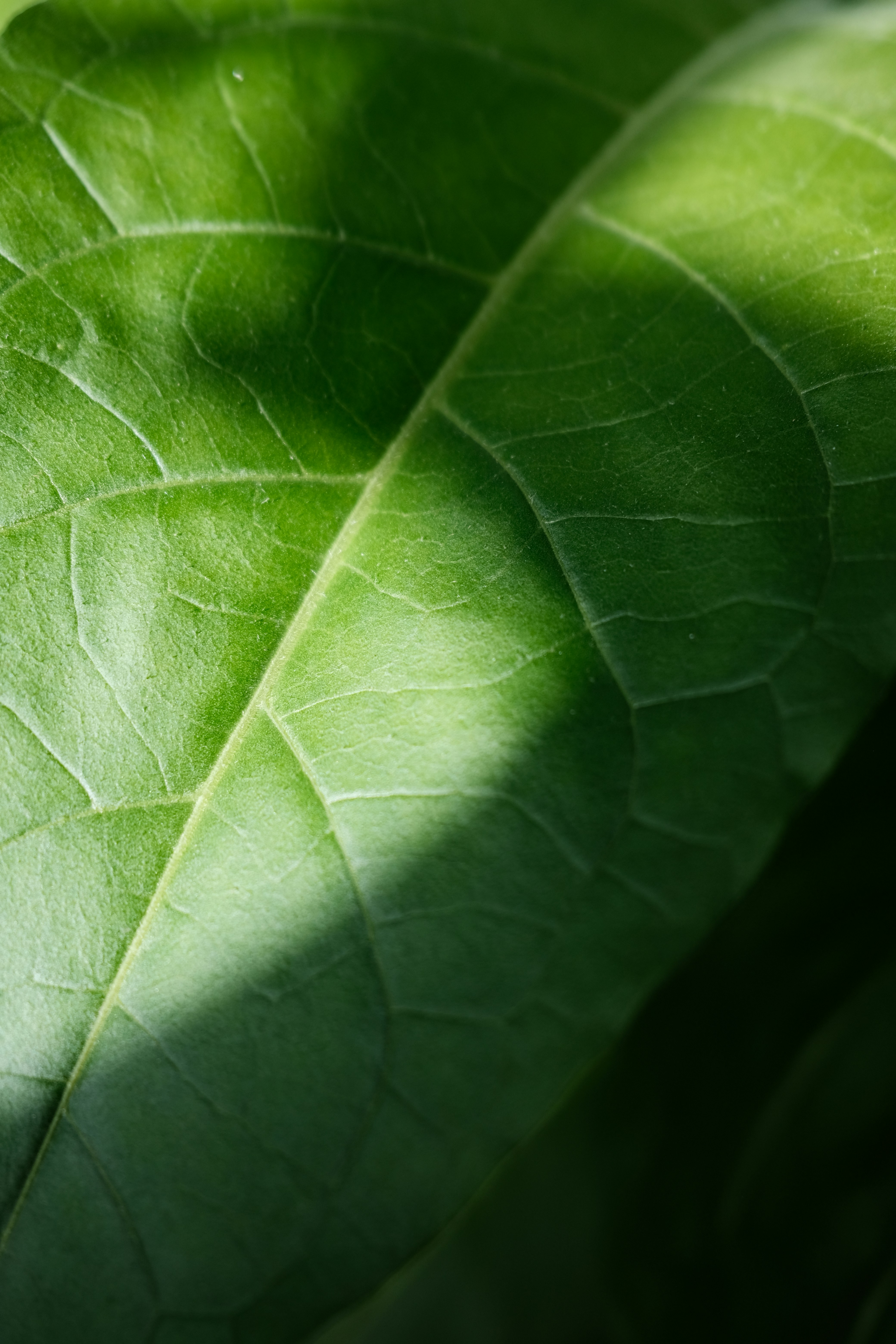 Photo by stereosonya