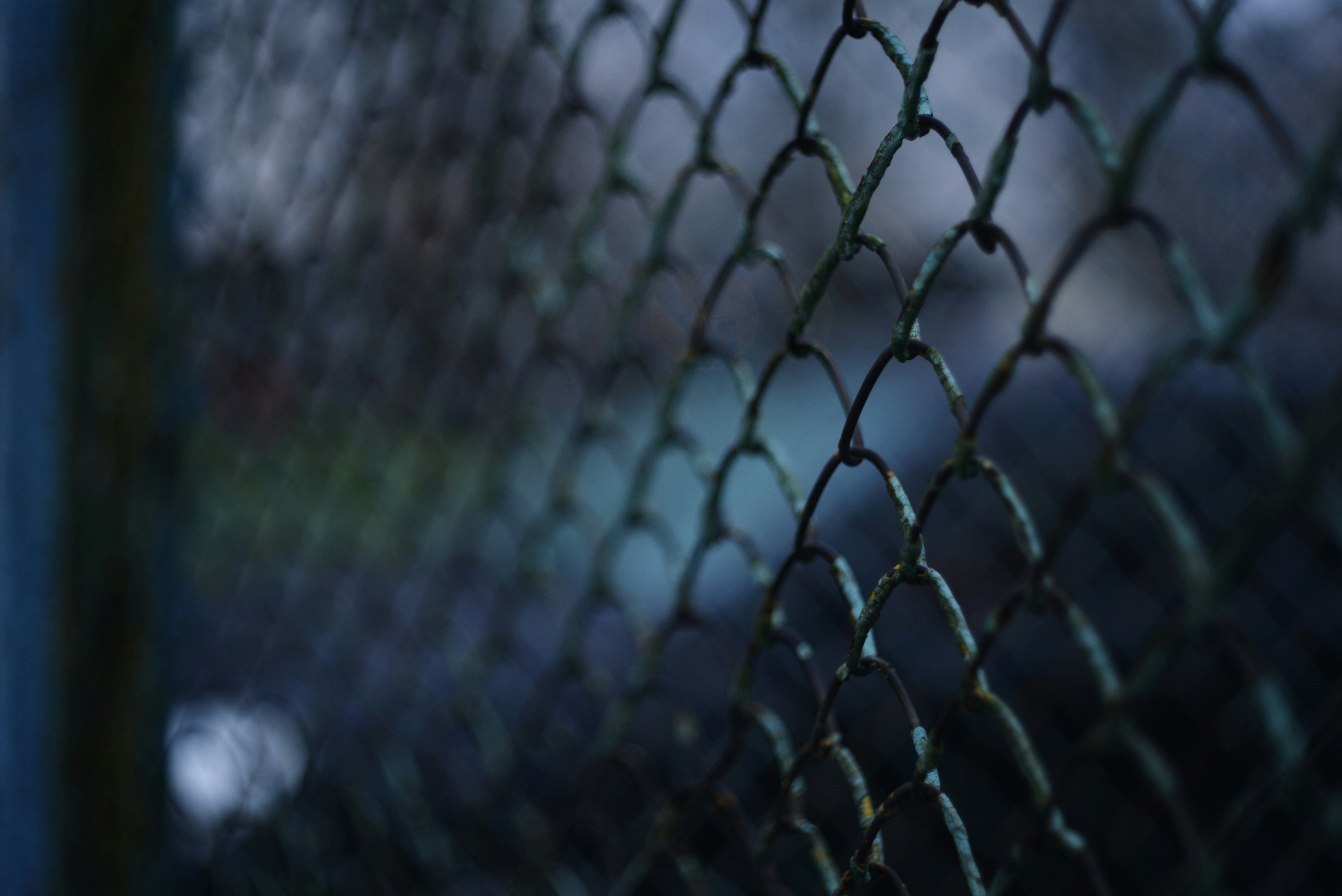 Photo by cherstve_pechivo