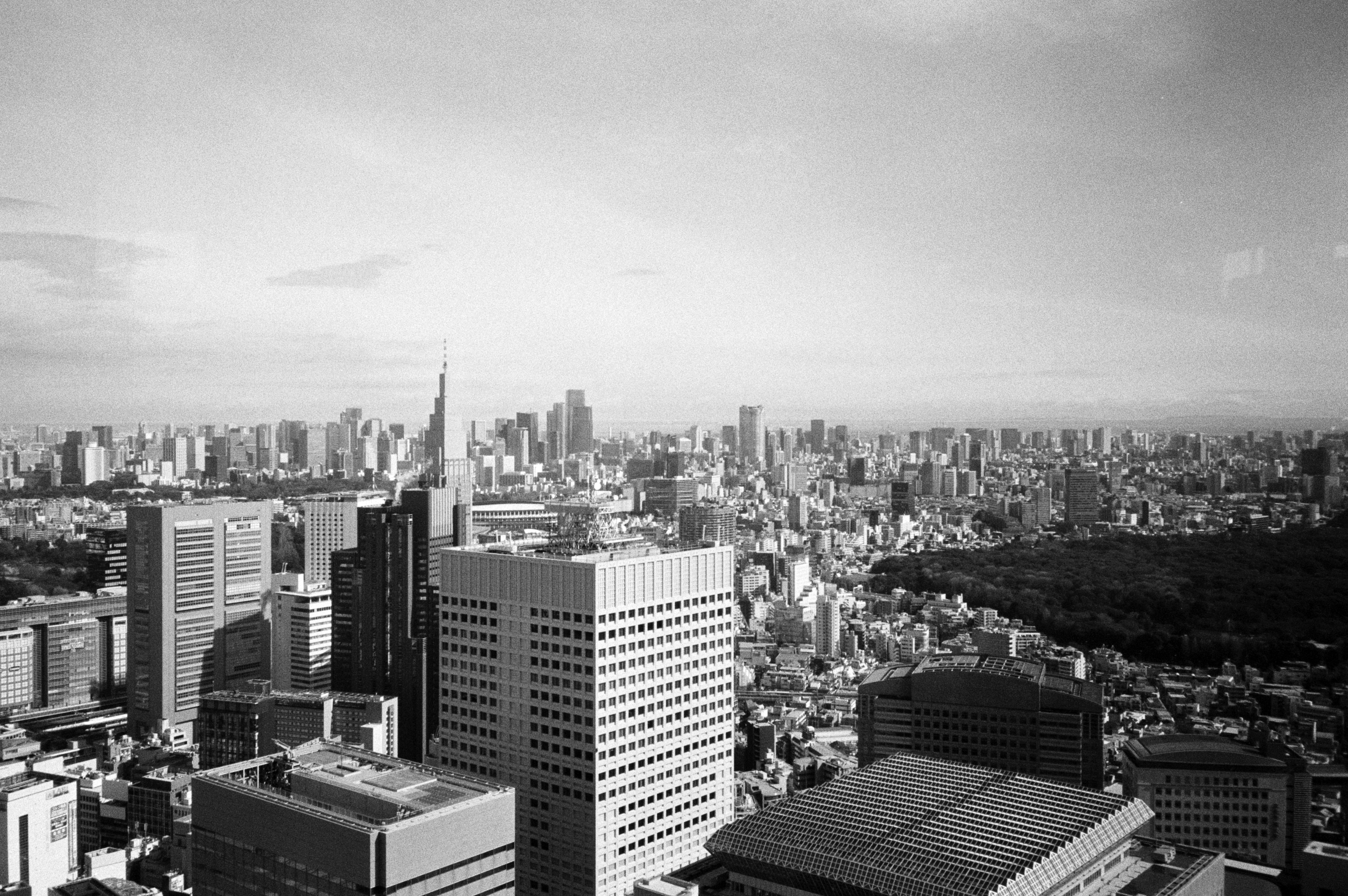 Photo by mirceadrian