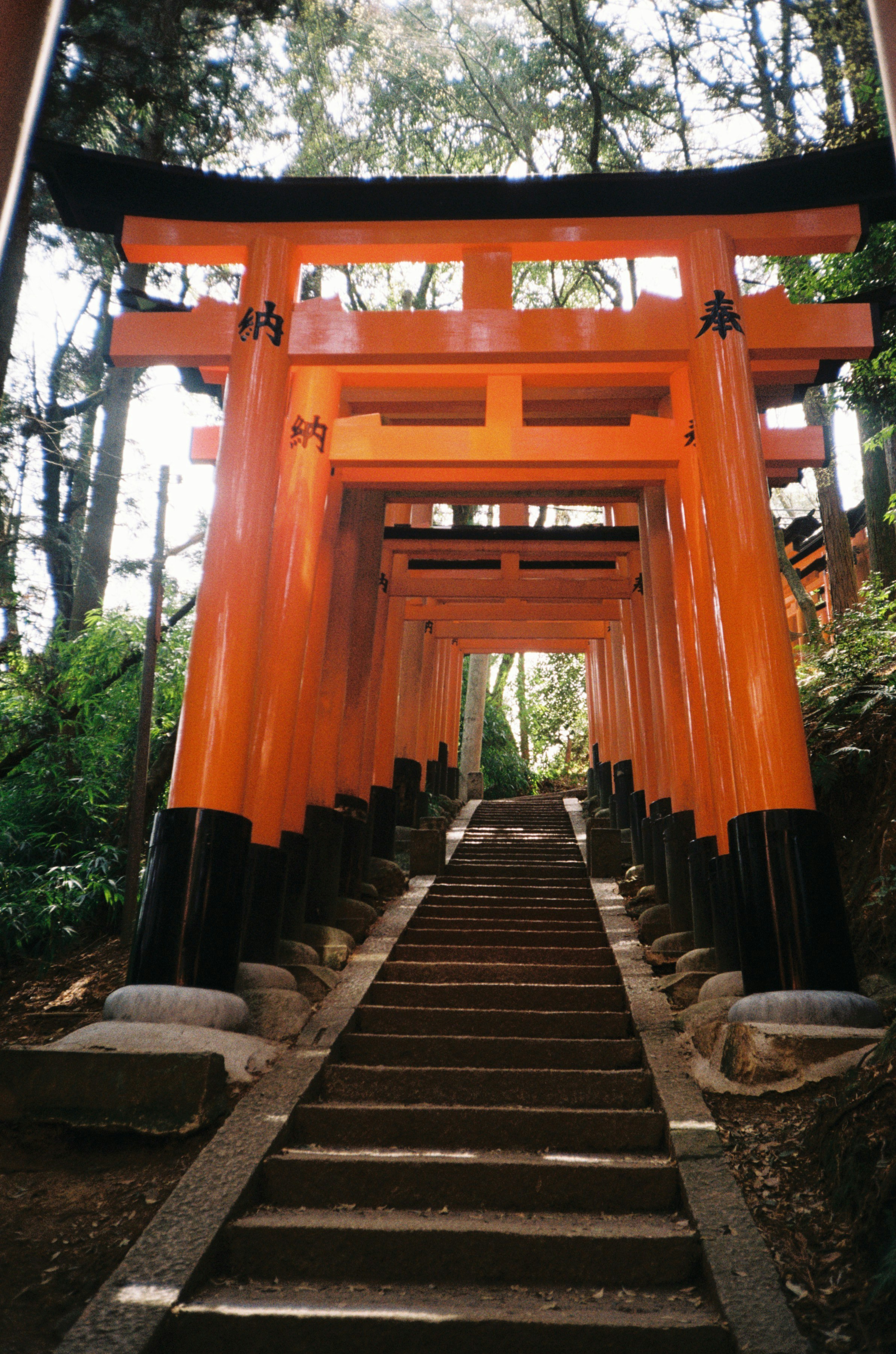 Photo by mirceadrian