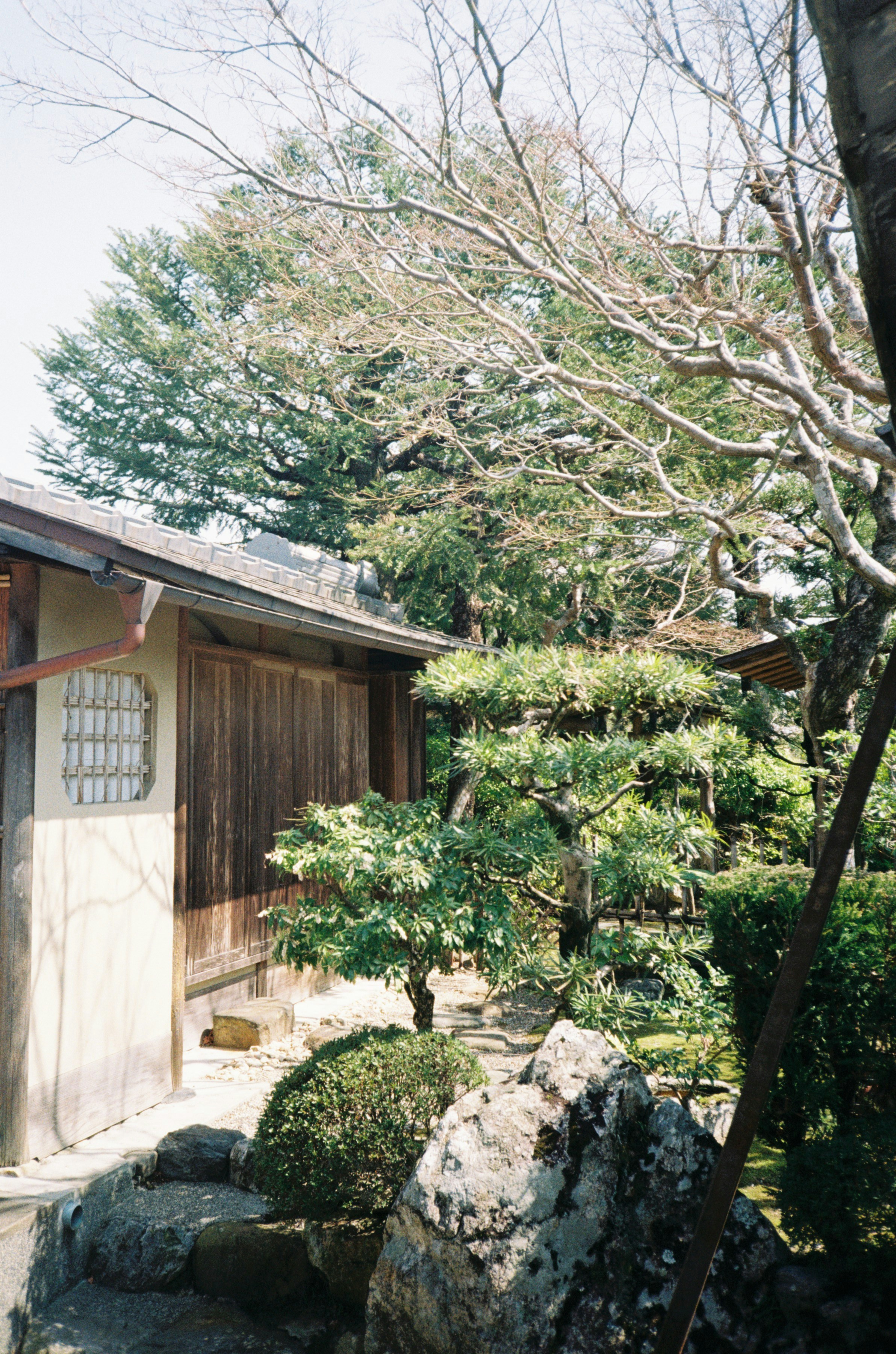 Photo by mirceadrian