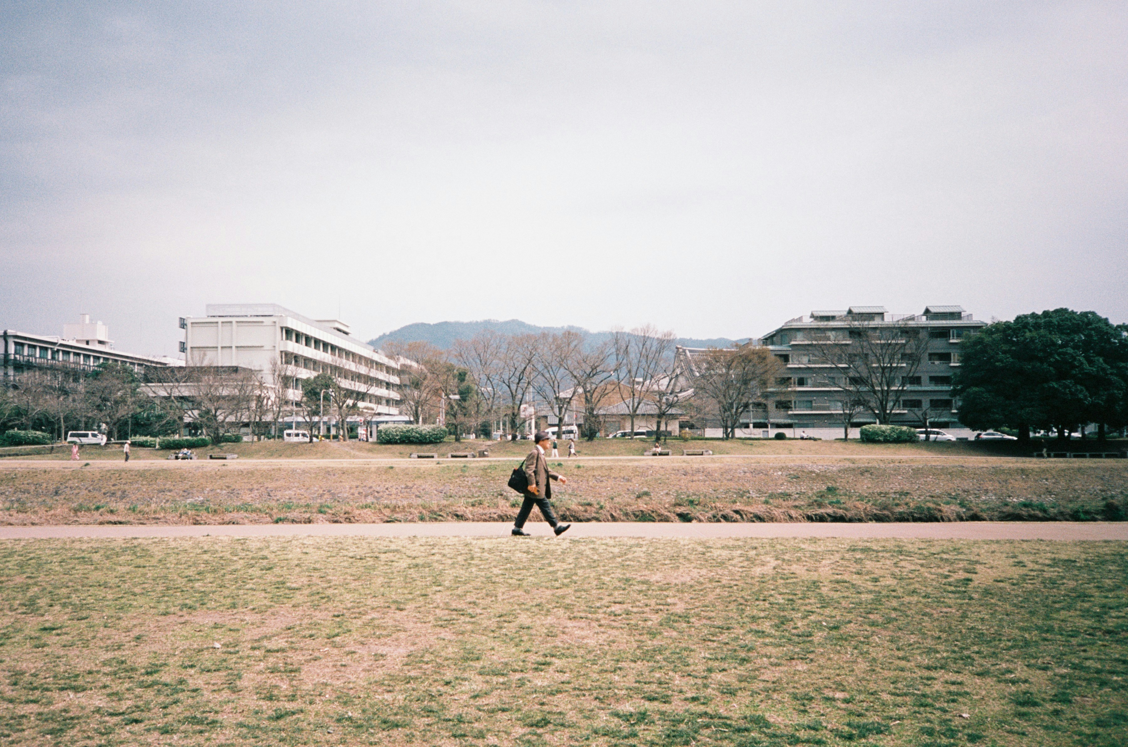 Person walking in a park during a sunny winter afternoon in Japan