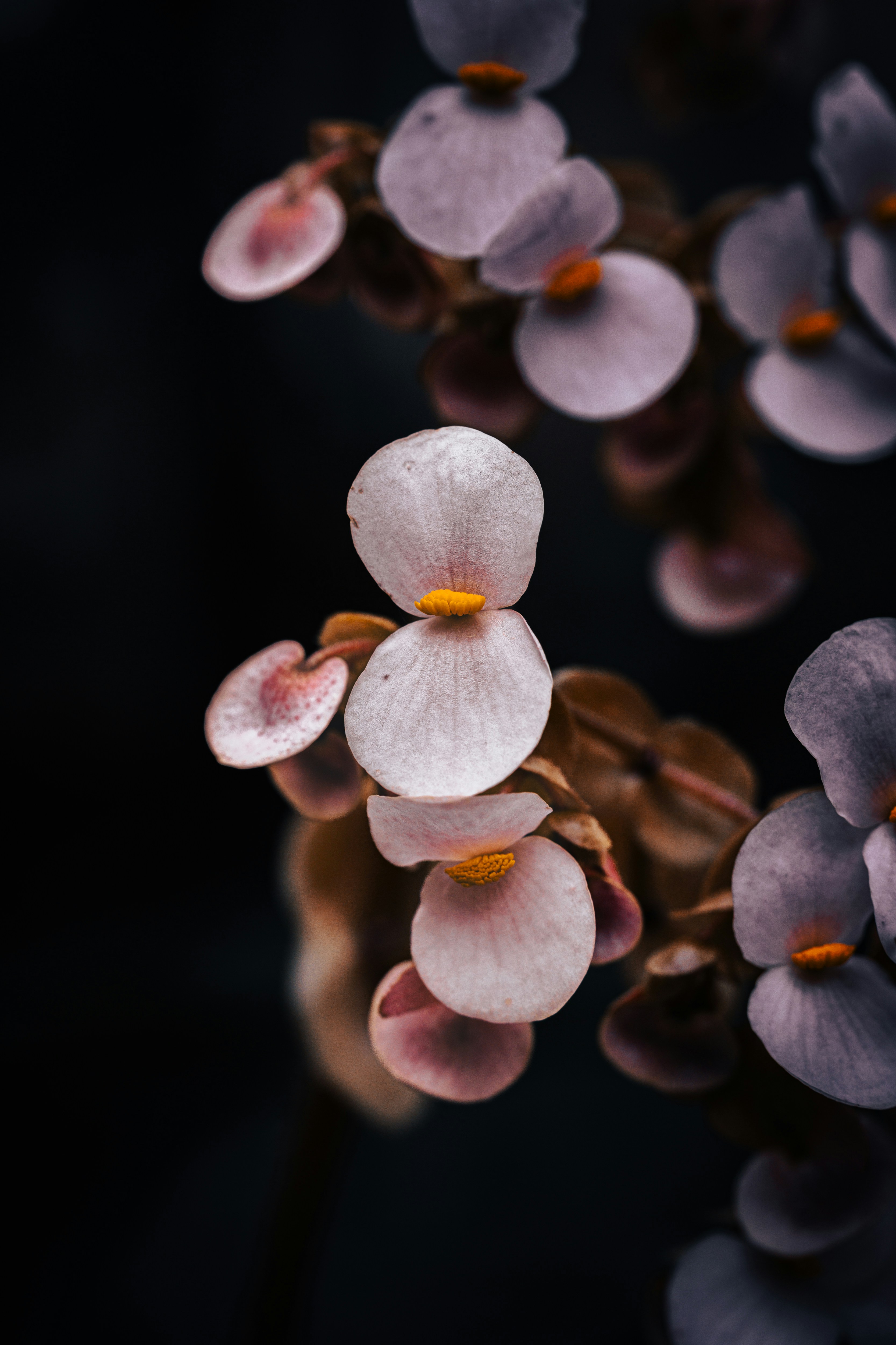 Photo by carinamariah