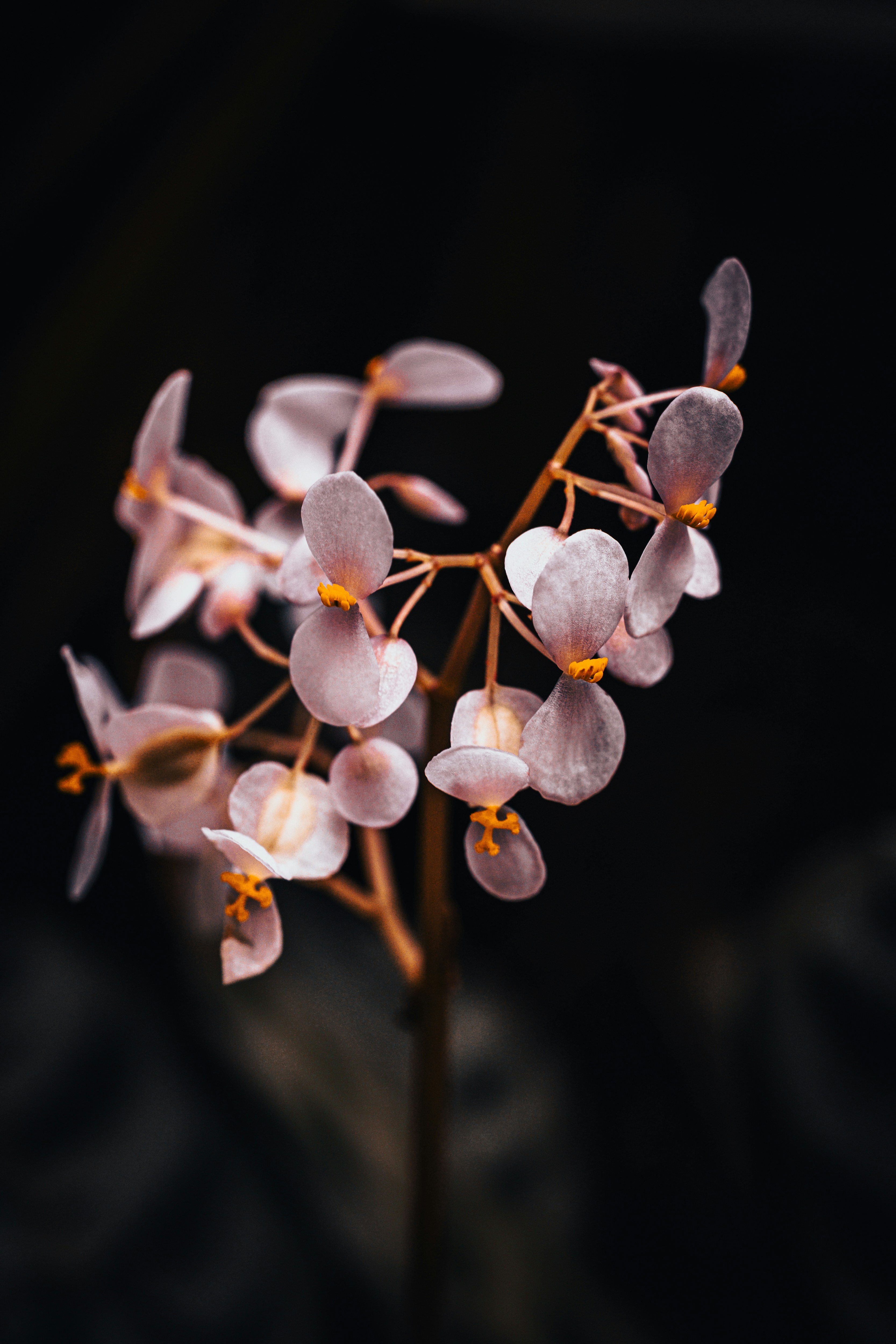 Photo by carinamariah