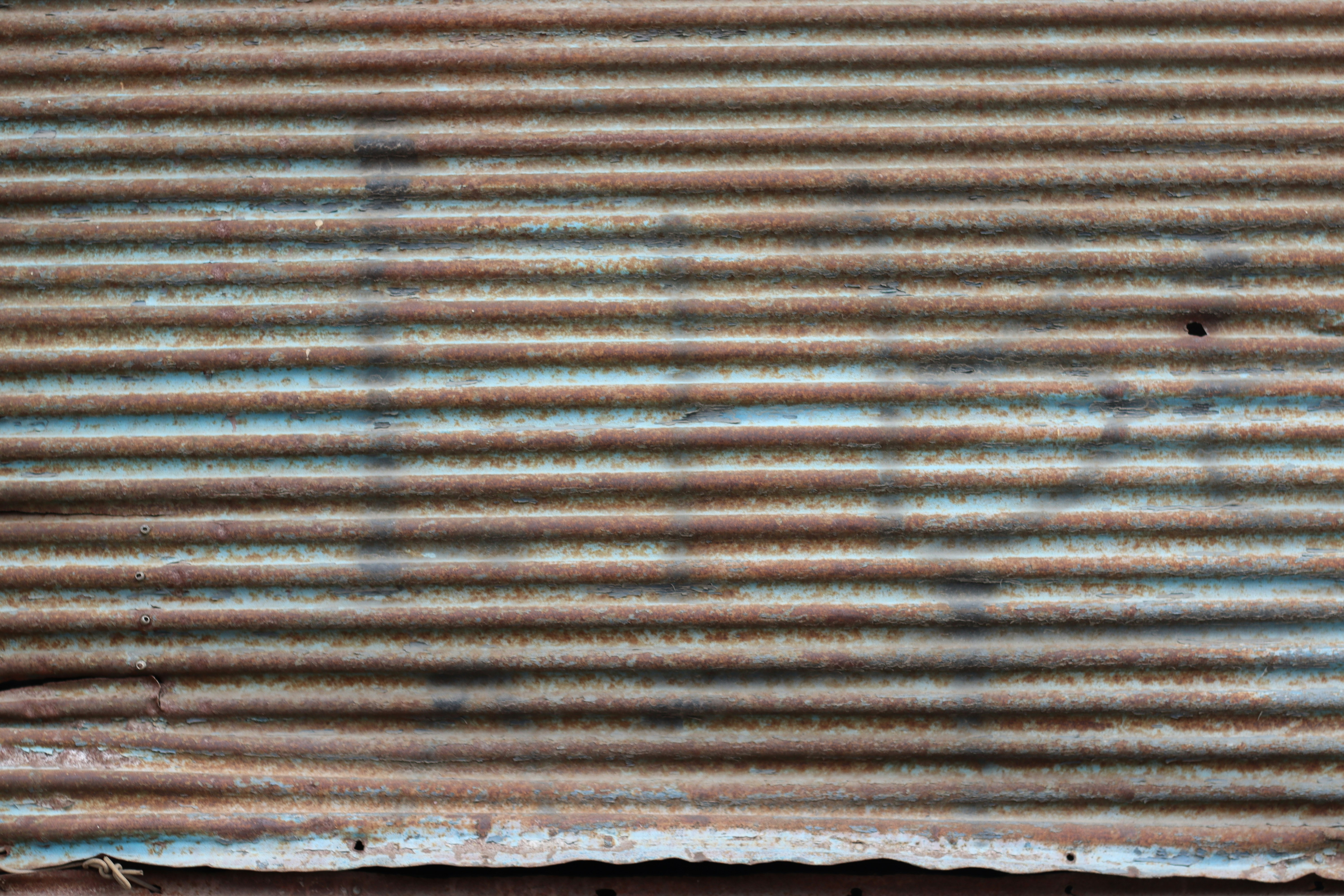 Photo by rodrigotypo